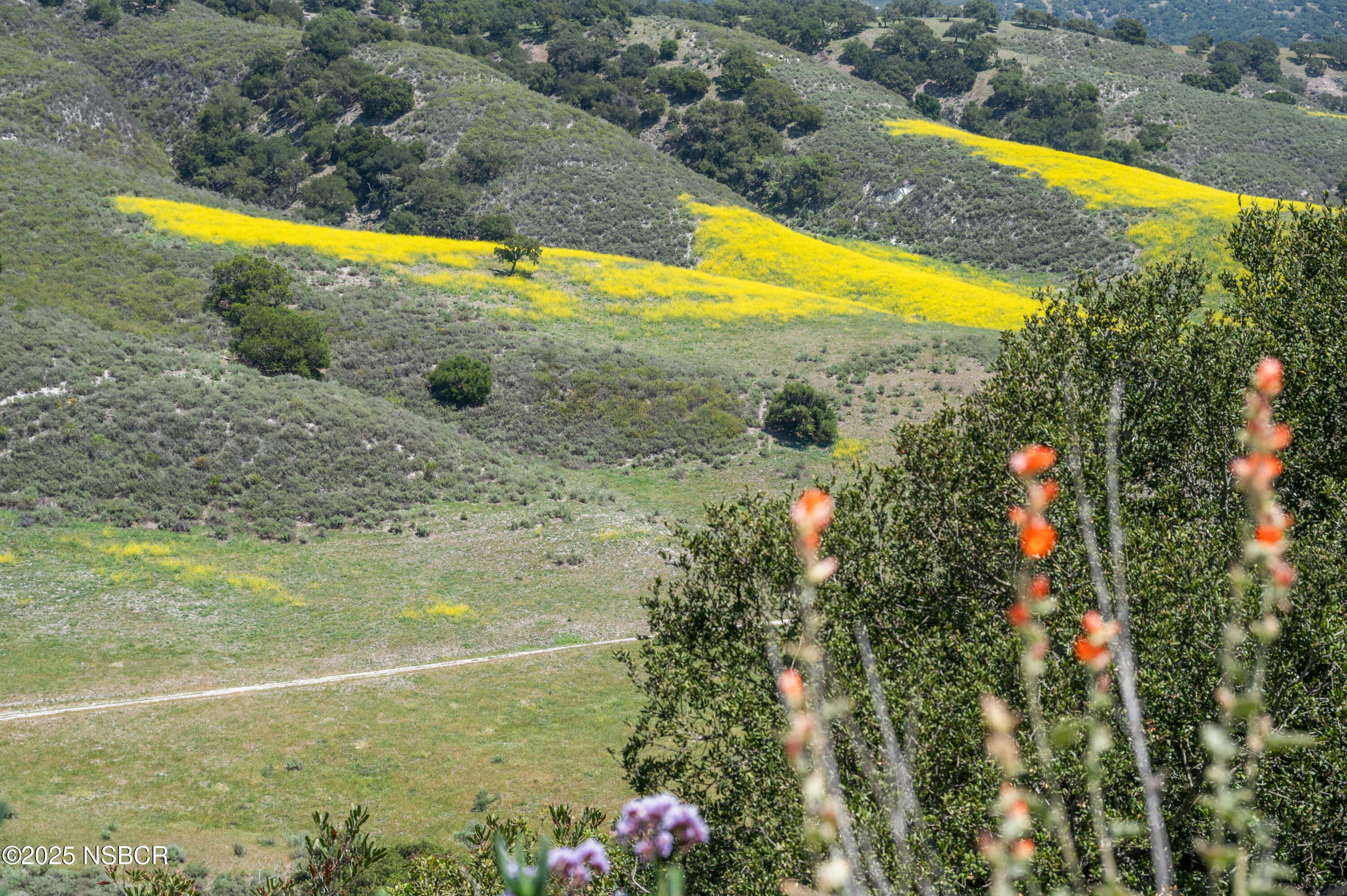 760 Falcon Ridge Lane