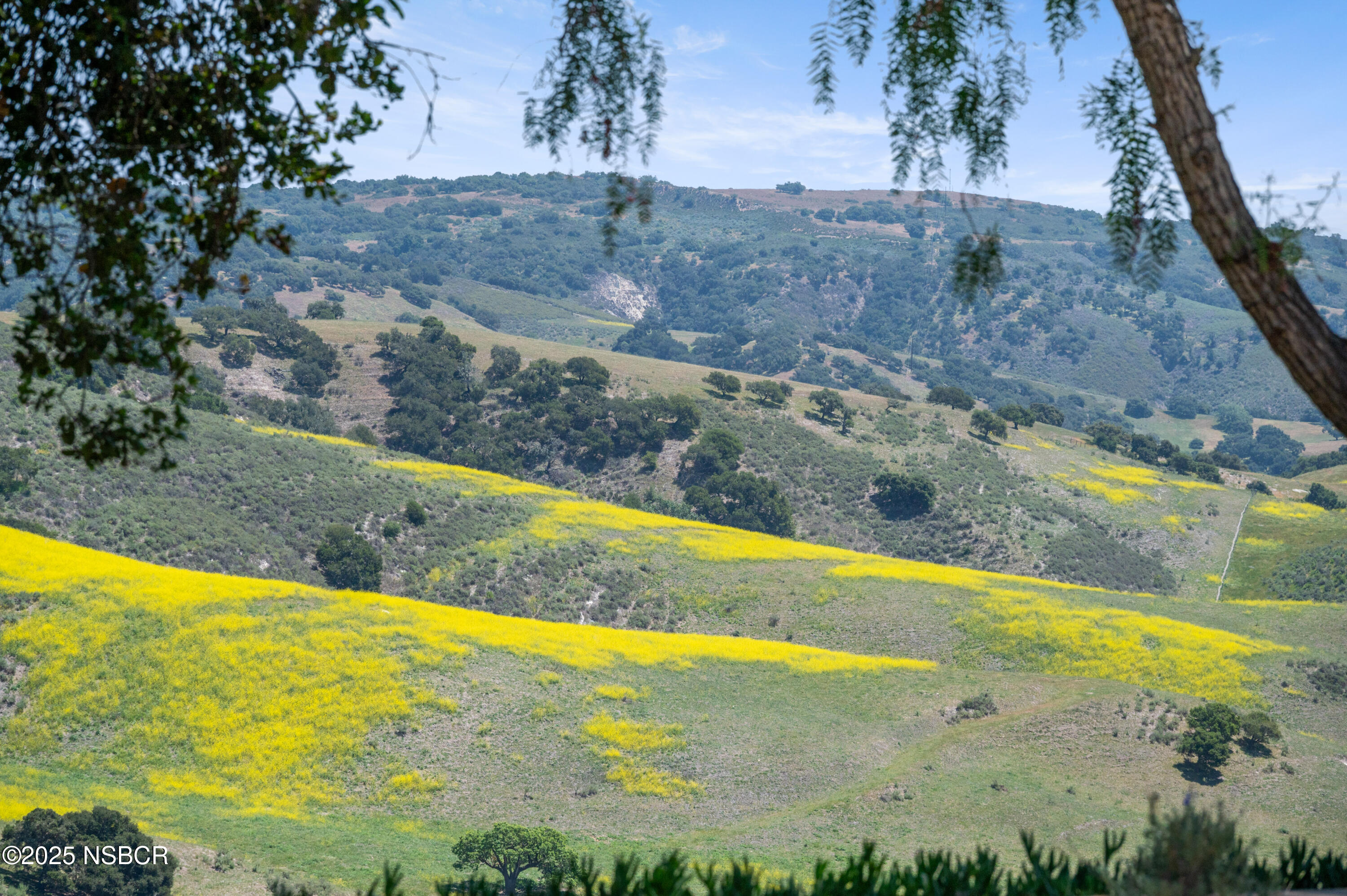 760 Falcon Ridge Lane