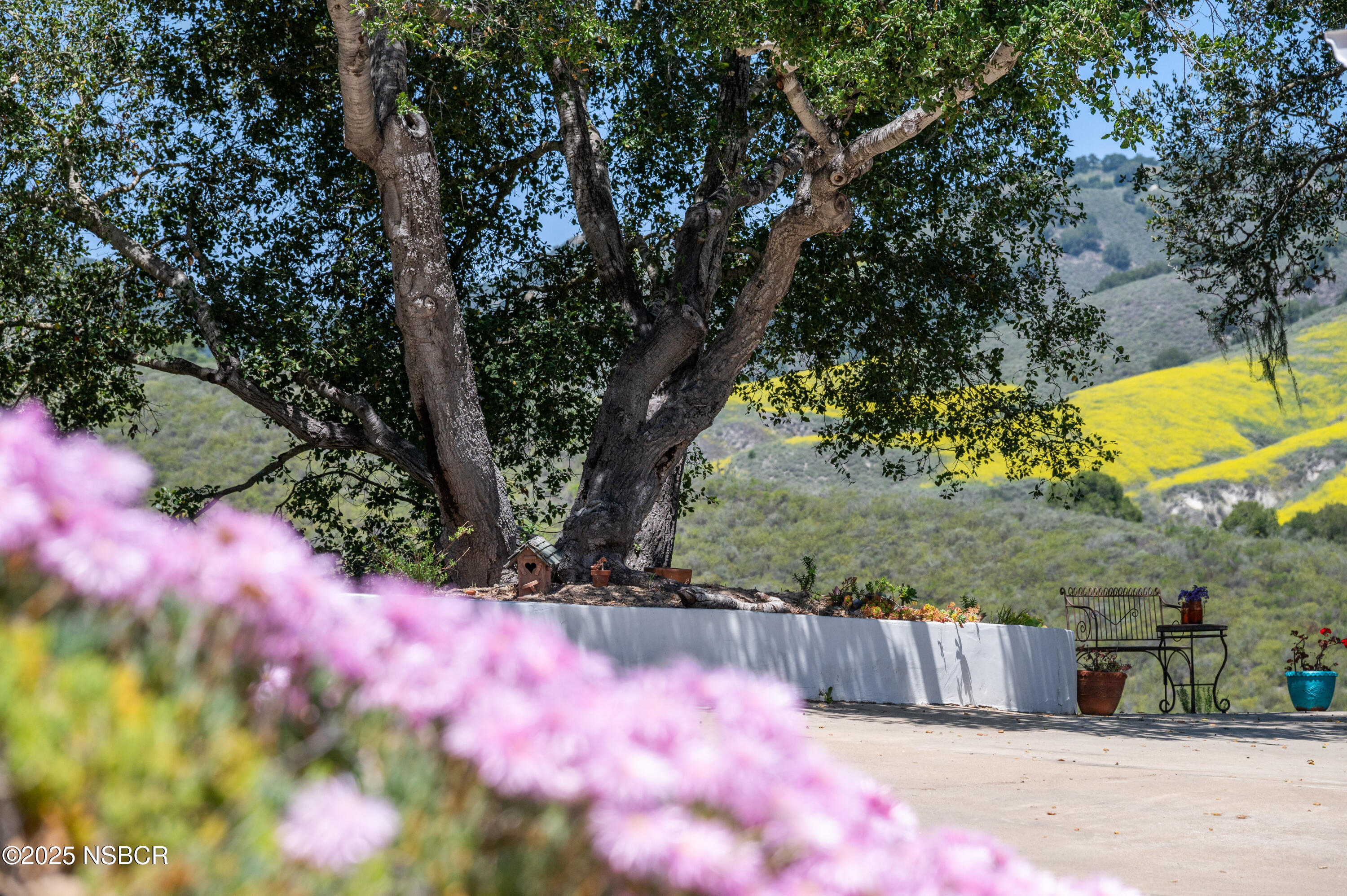 760 Falcon Ridge Lane