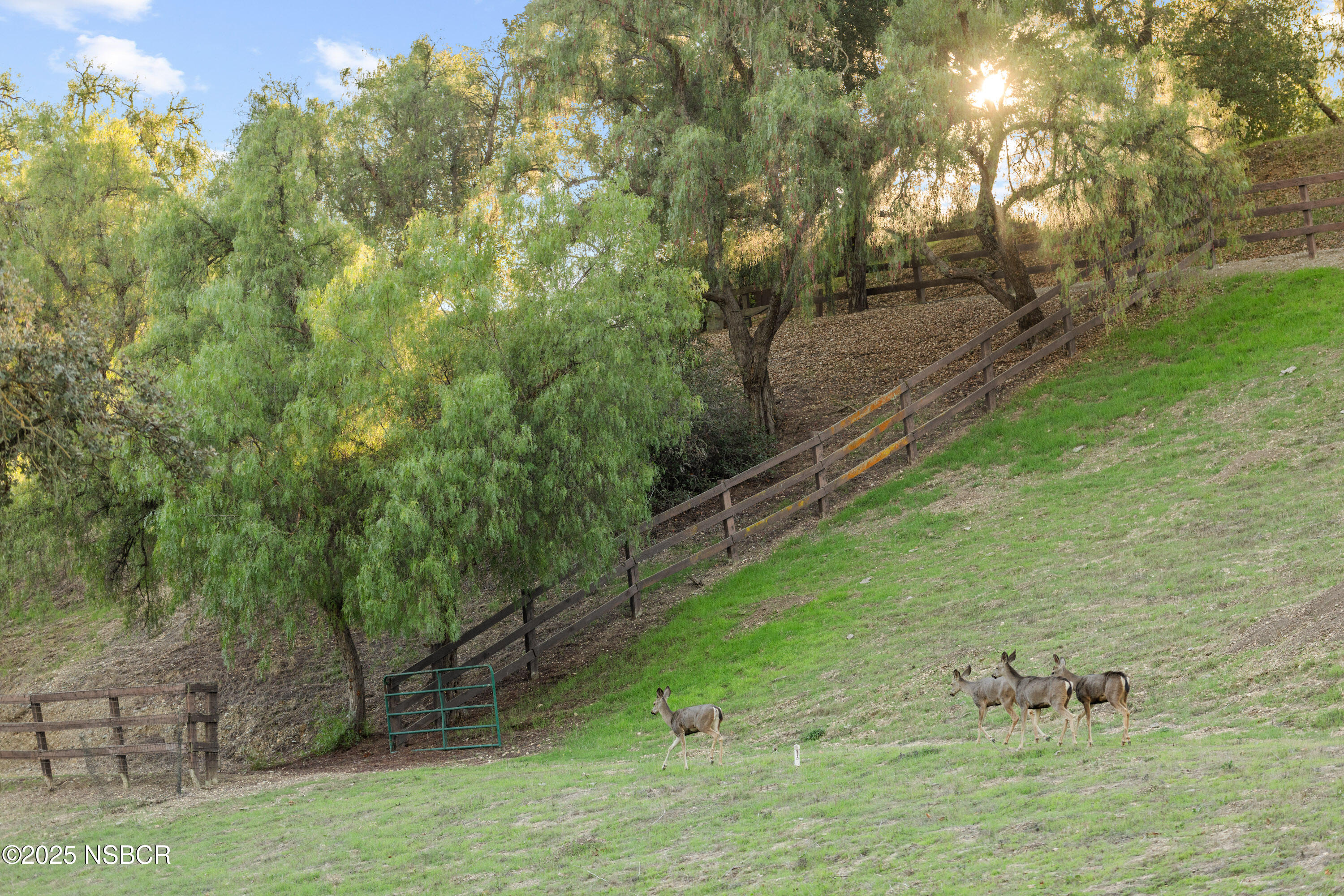 2651 Long Canyon Road