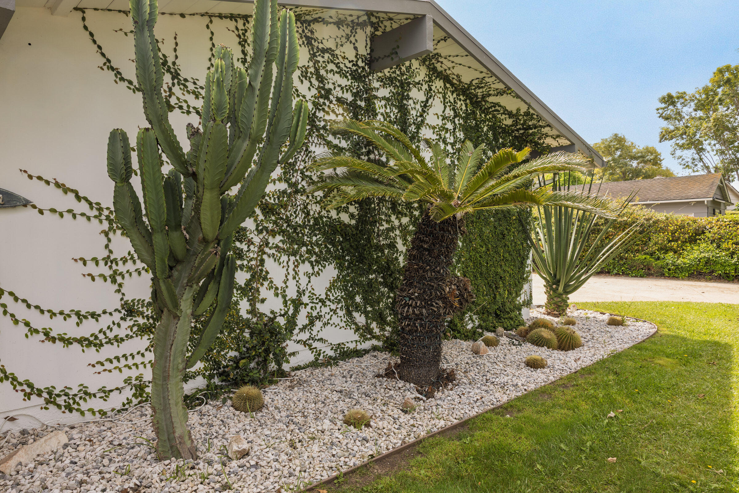 864 Arbol Verde Street