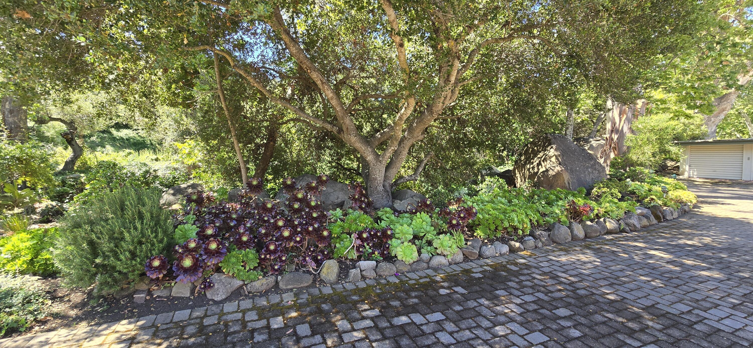 2767 Miradero Drive Apt C