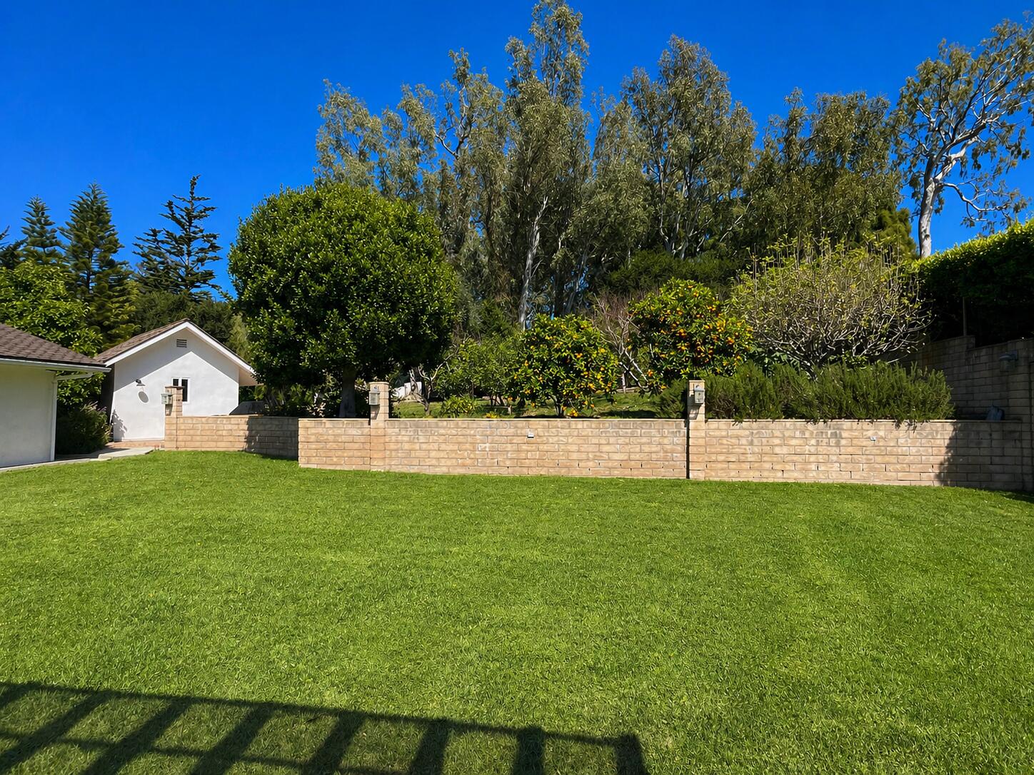 451 Live Oaks Road