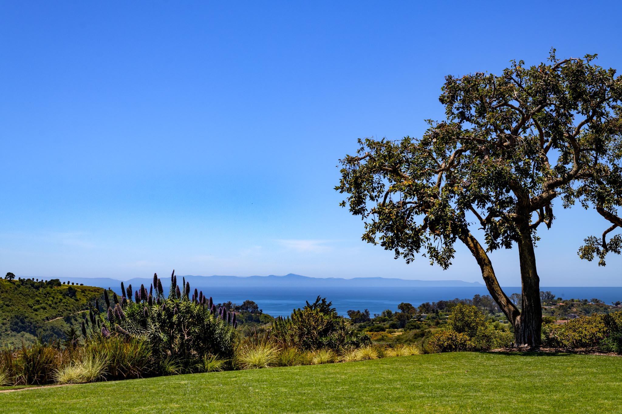 CARPINTERIA