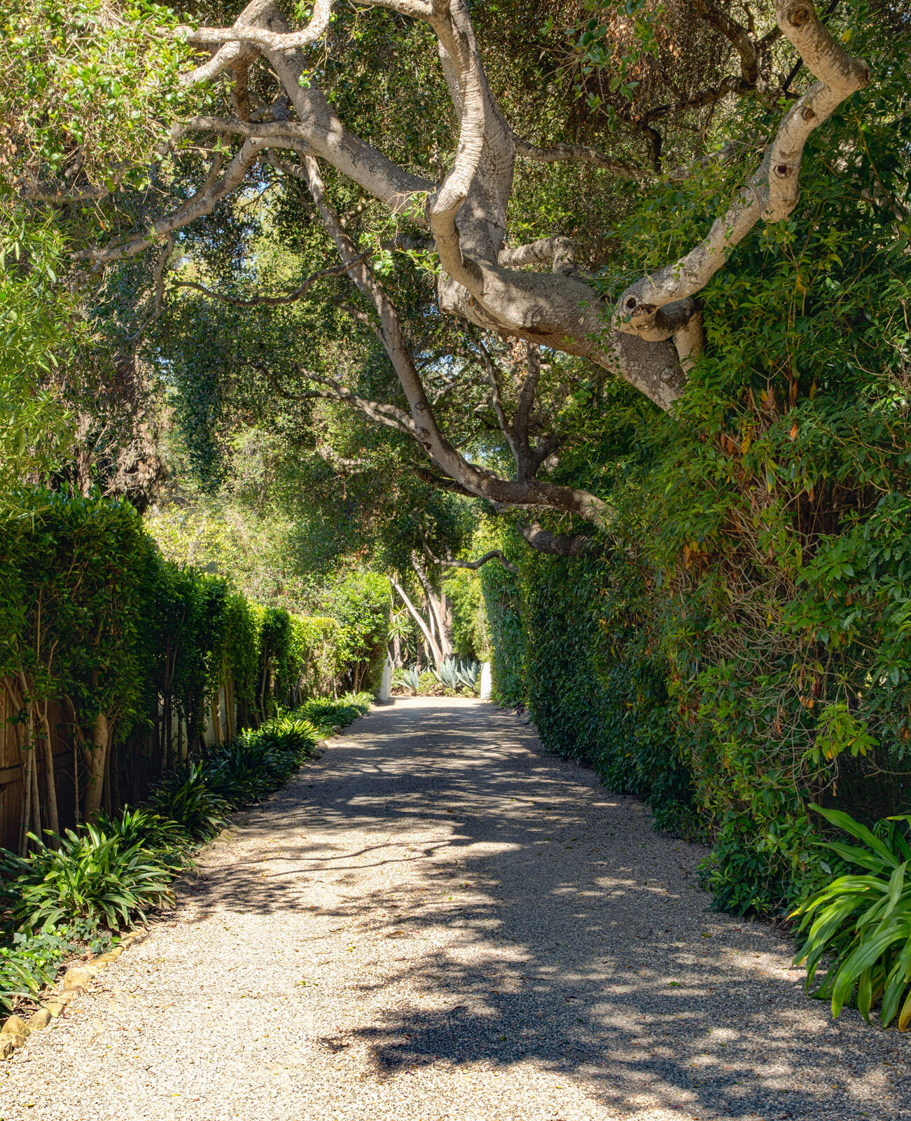 279 Santa Rosa Lane