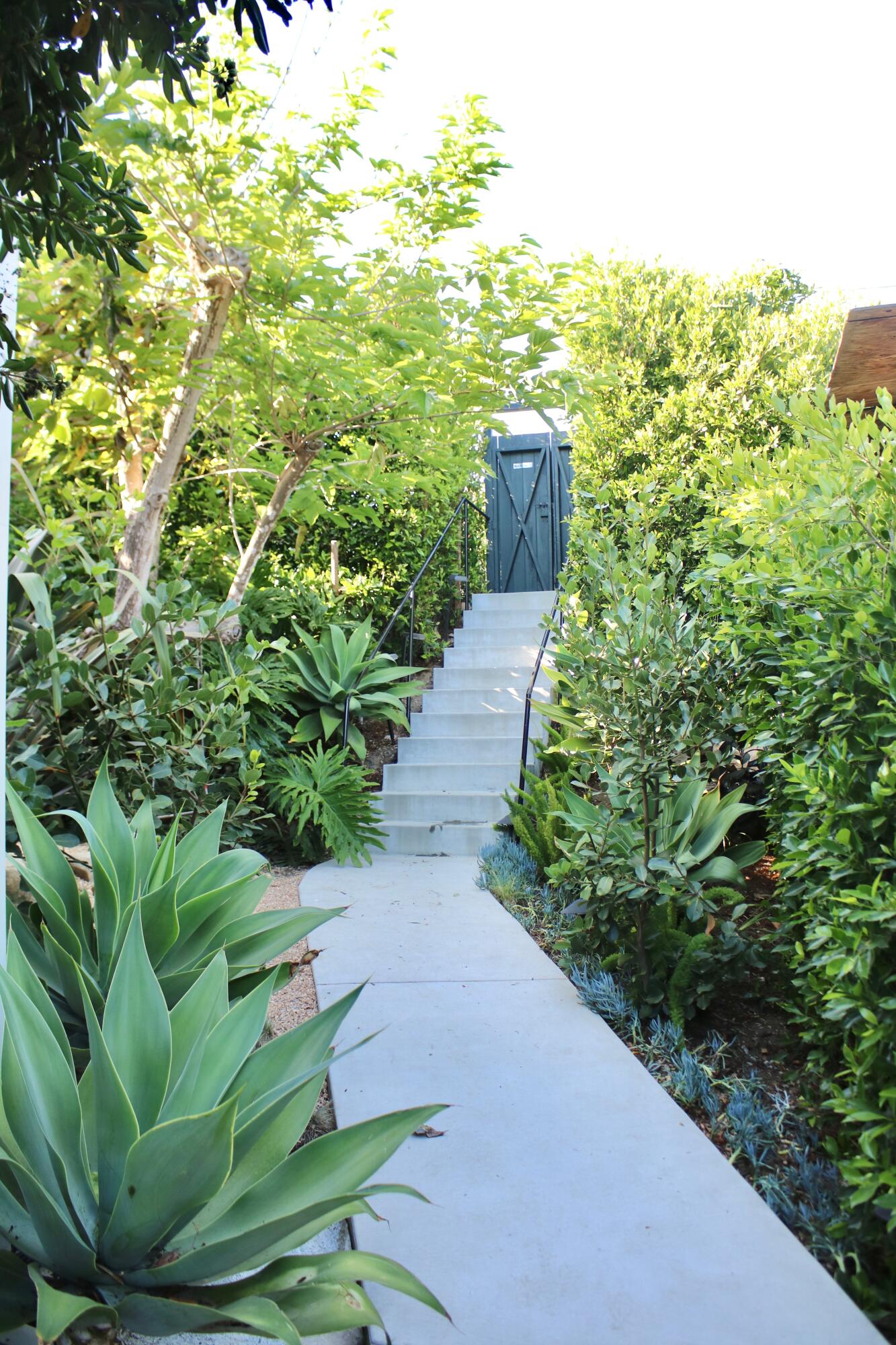 2305 Golden Gate Avenue