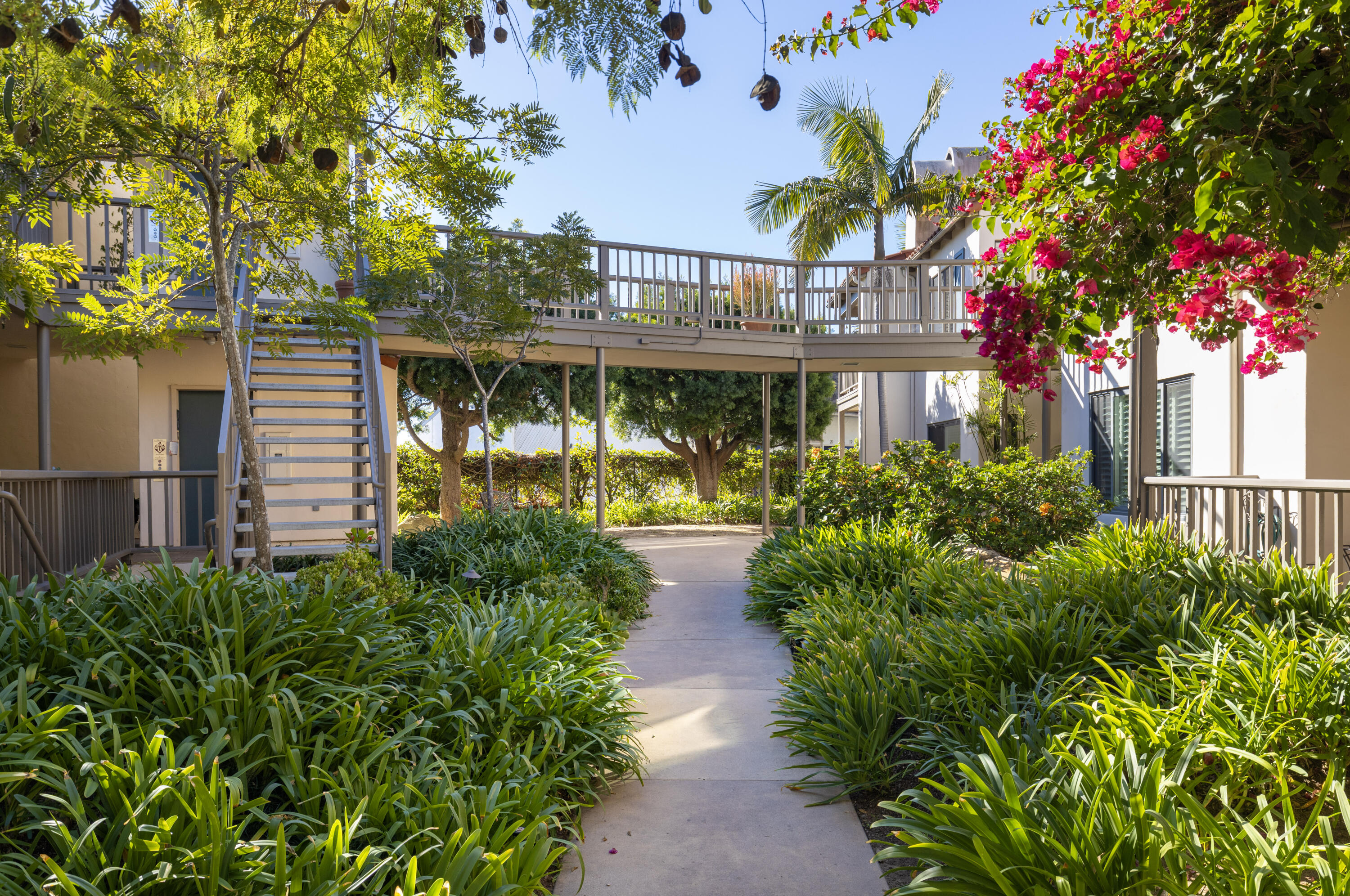 555 E Arrellaga Street 6