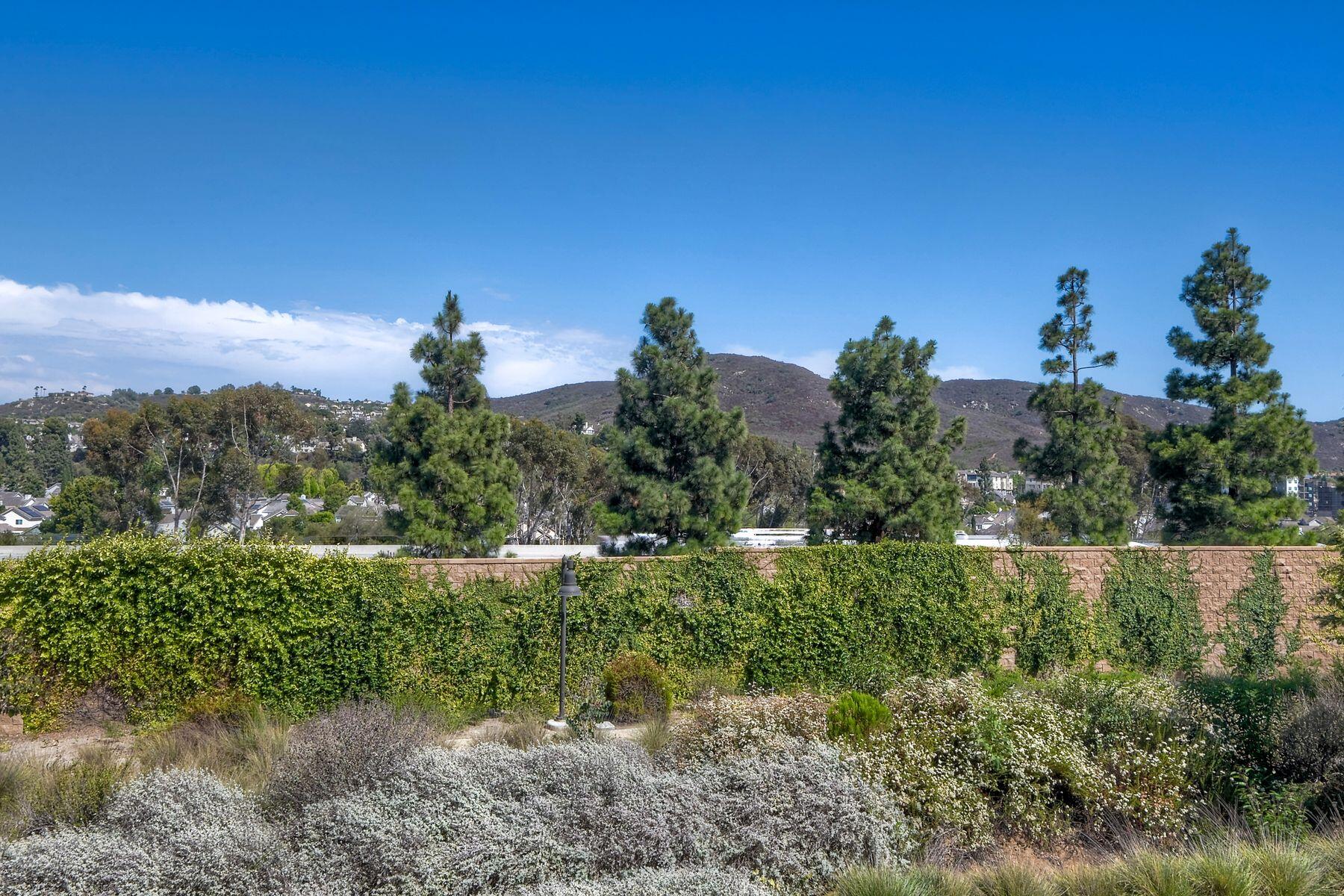10924 Jericho Way