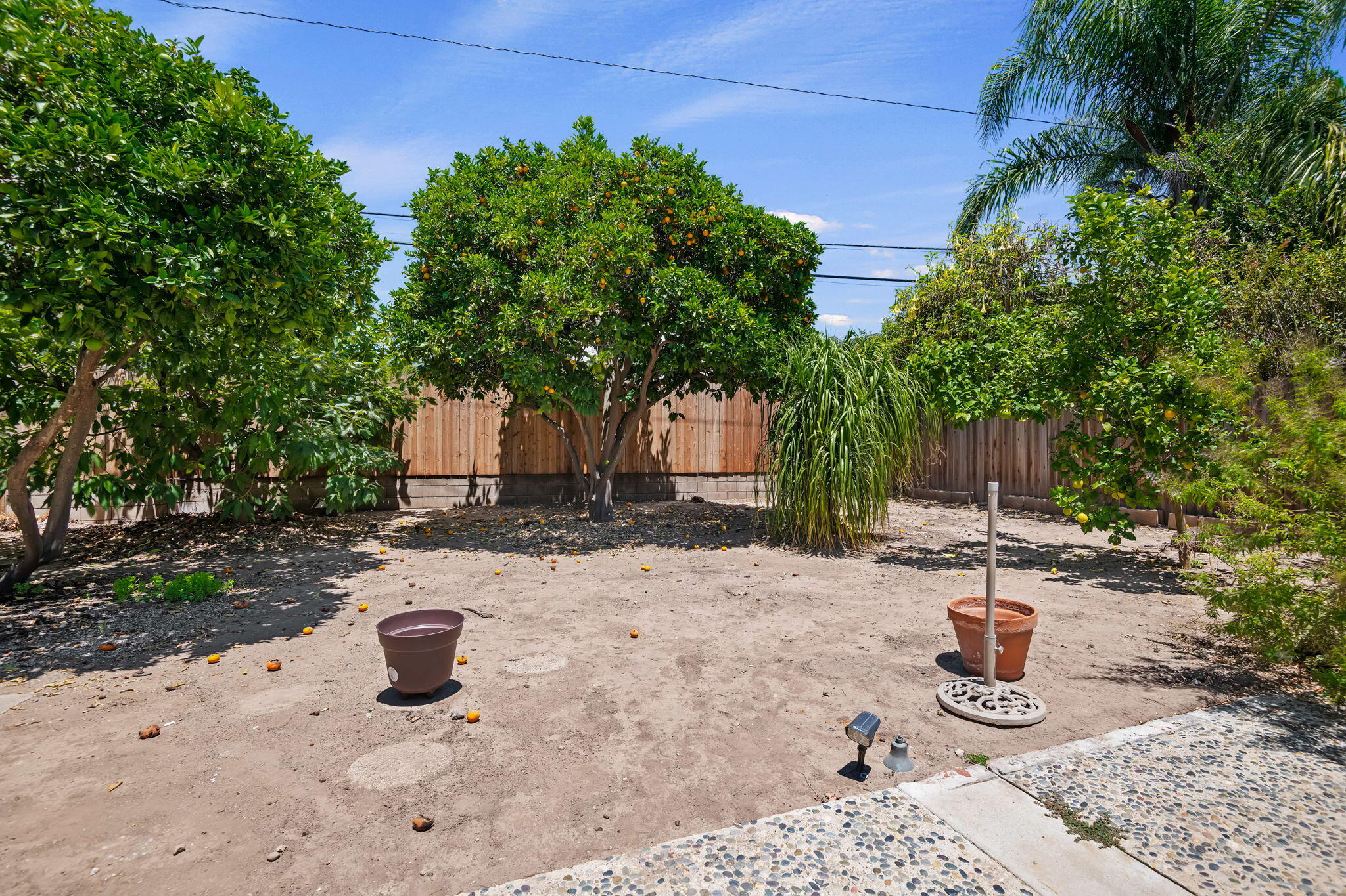3232 Calle Pinon
