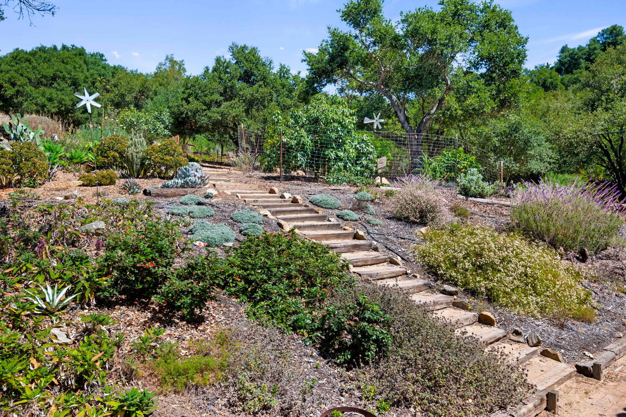 718 Las Canoas Place