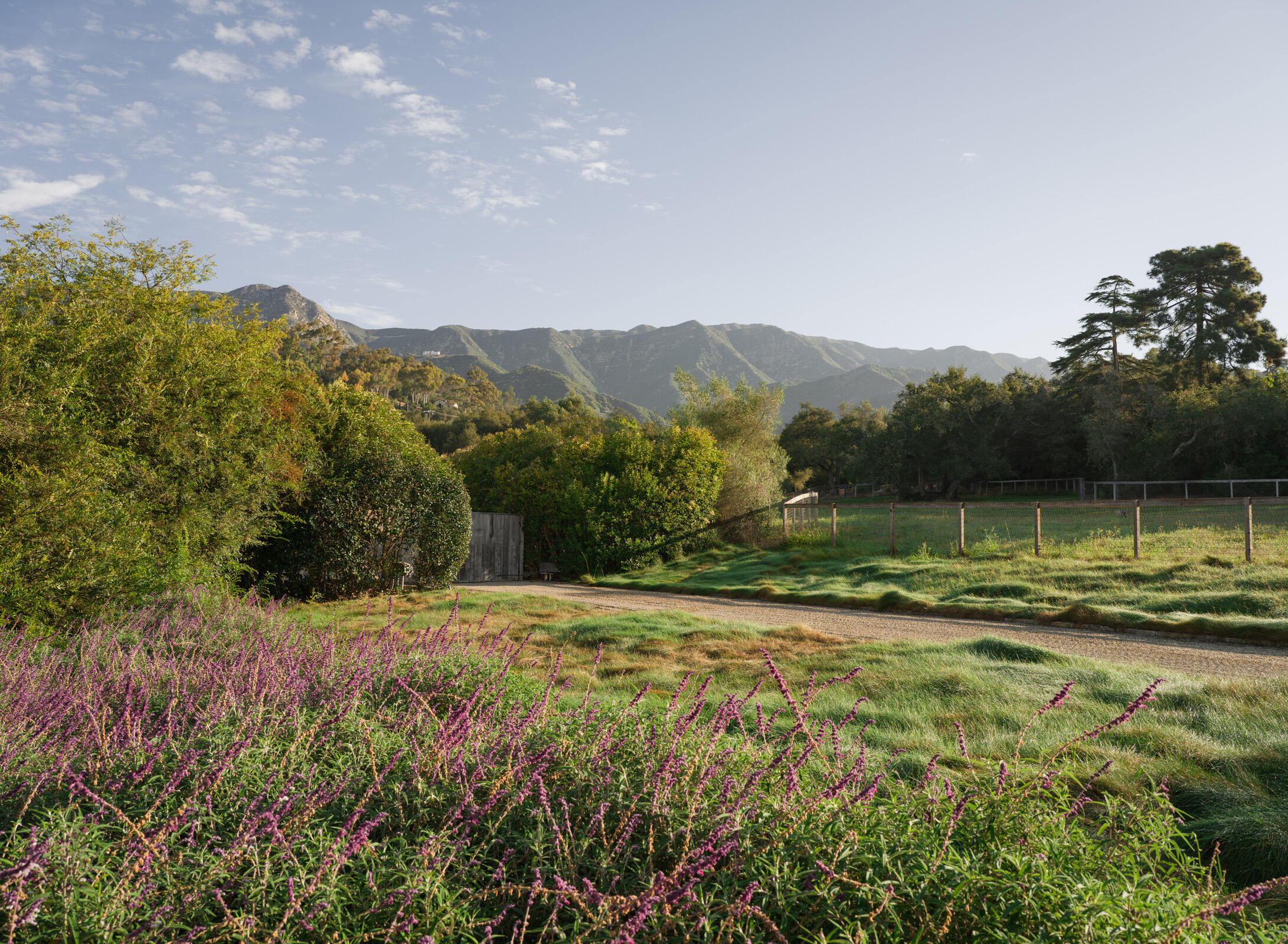 568 Toro Canyon
