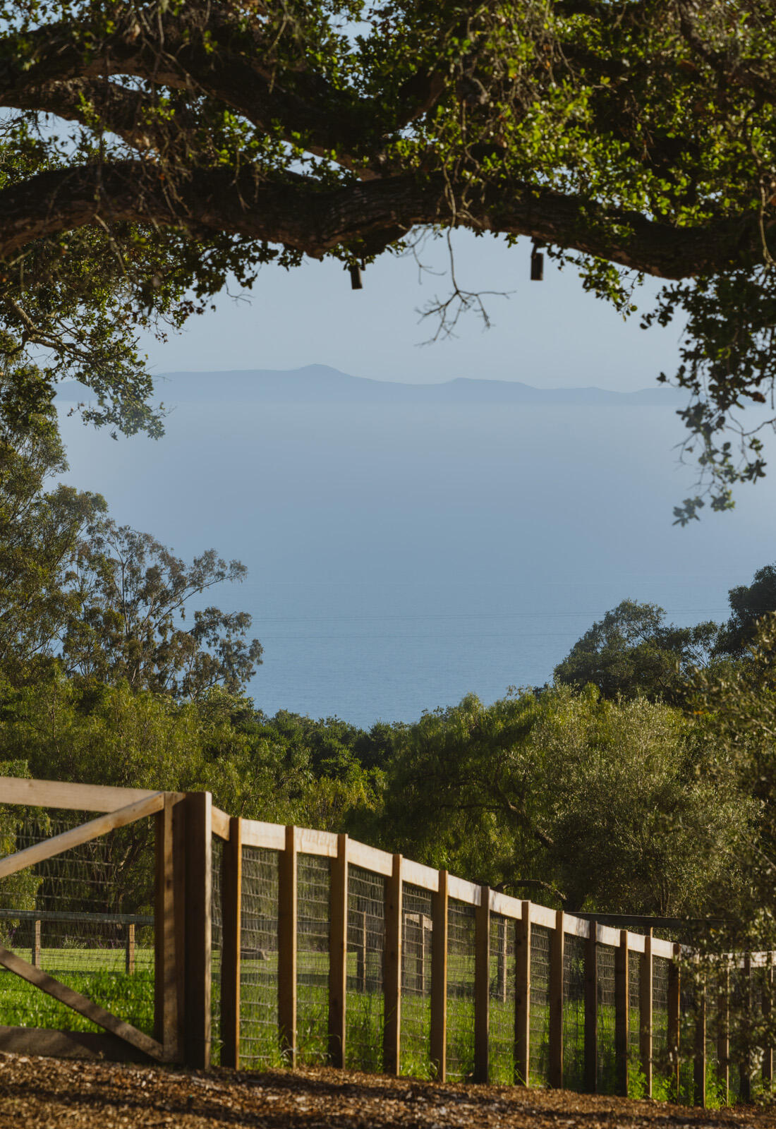 568 Toro Canyon