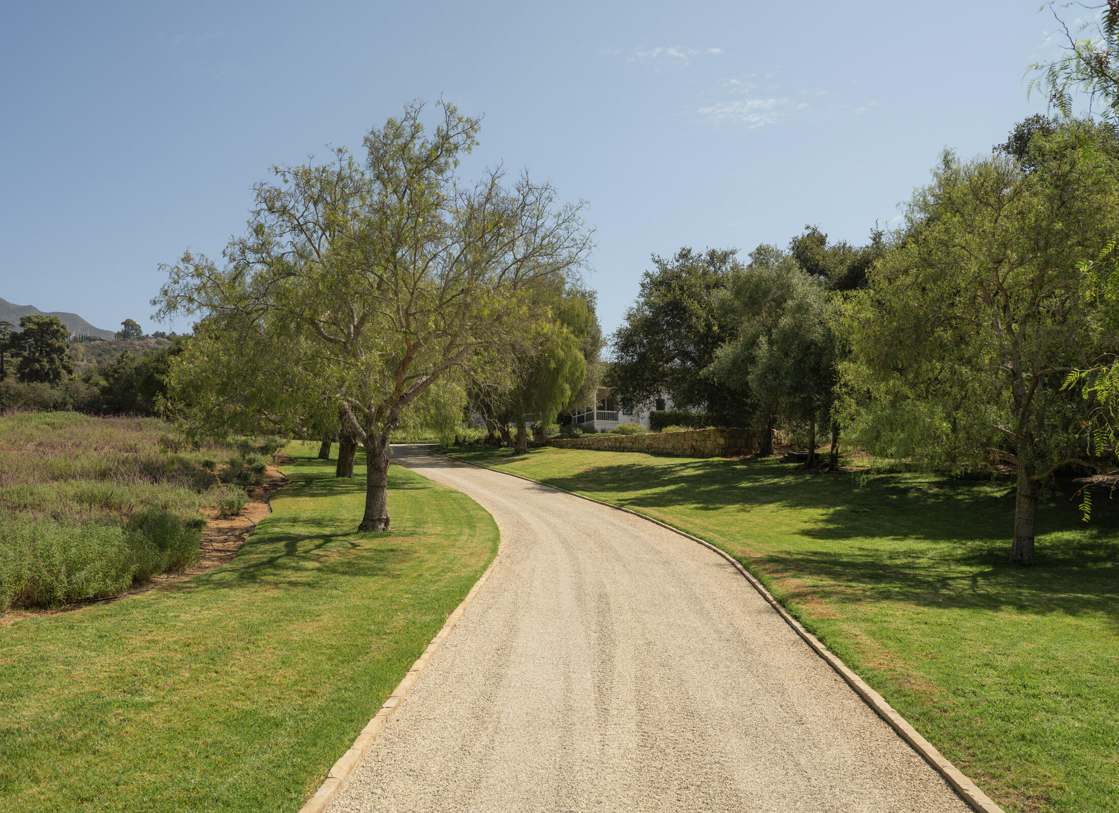 568 Toro Canyon