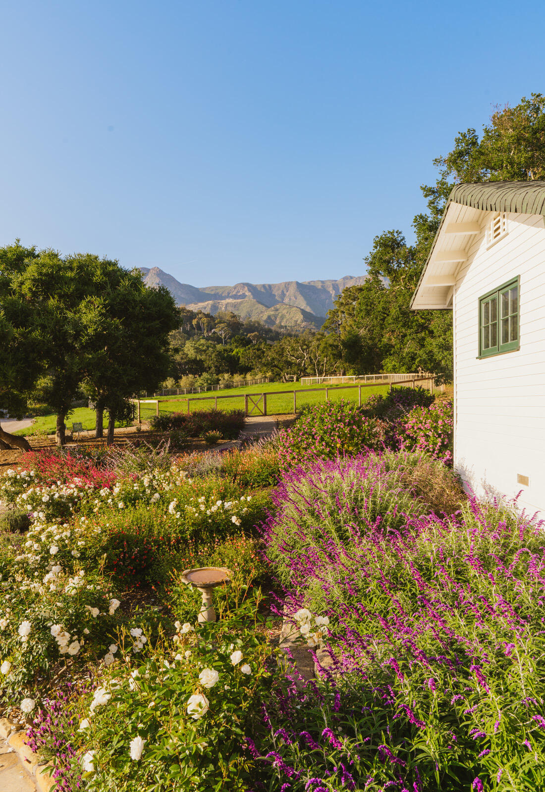 568 Toro Canyon