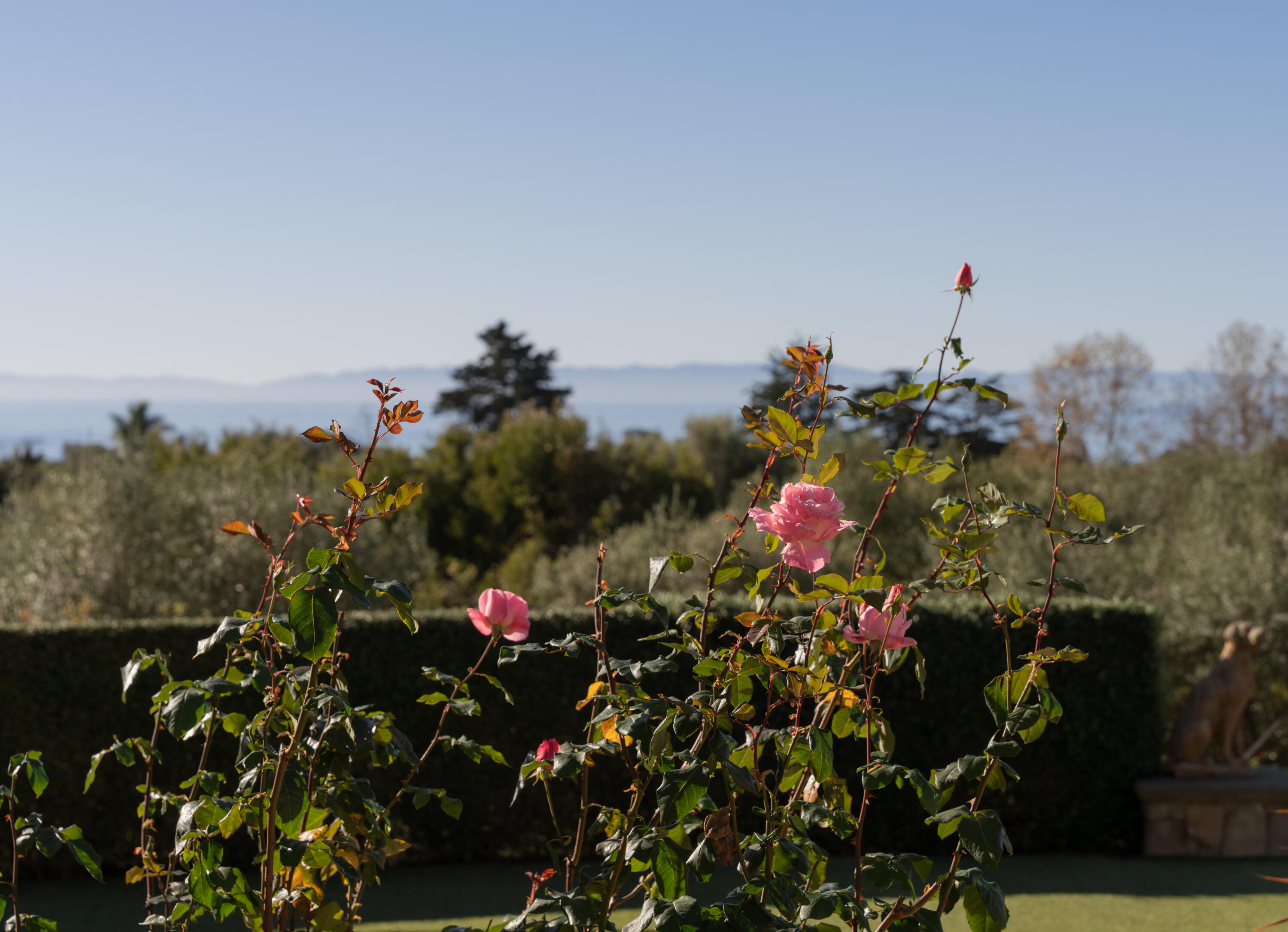 439 Meadowbrook Drive