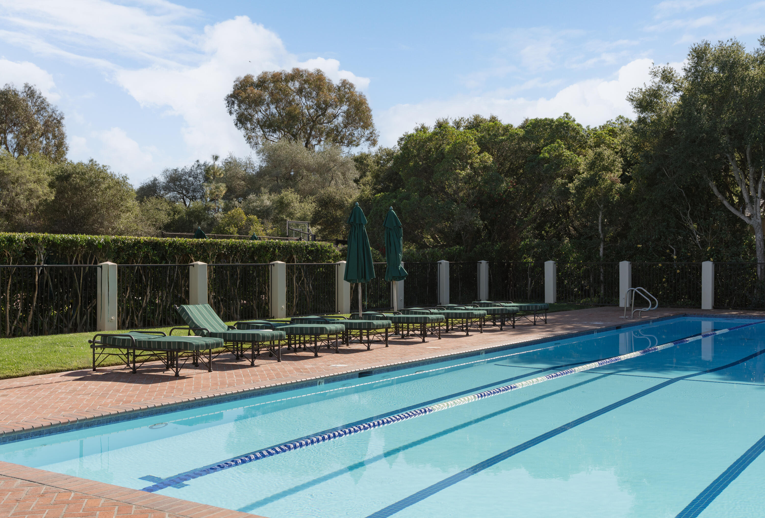 439 Meadowbrook Drive