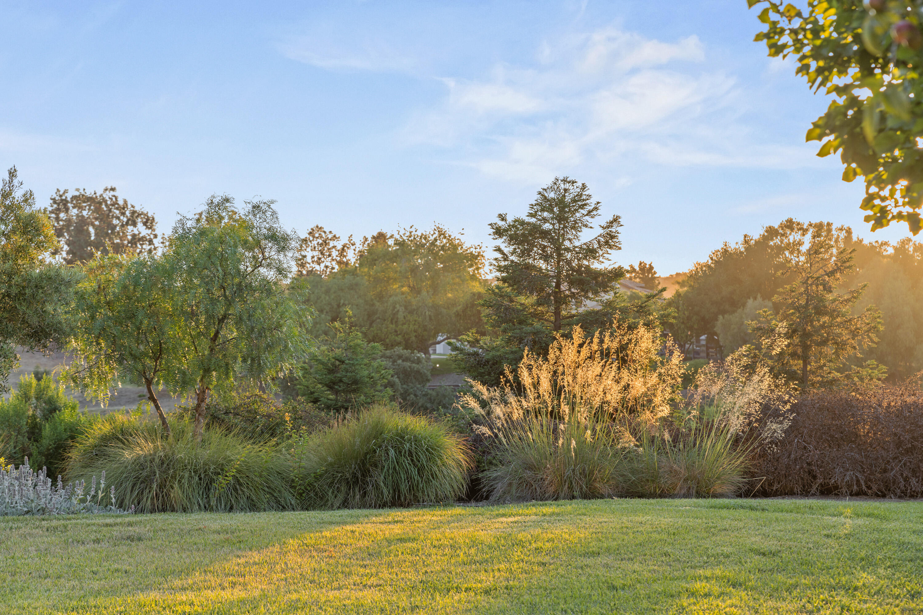 1325 Ladan Drive