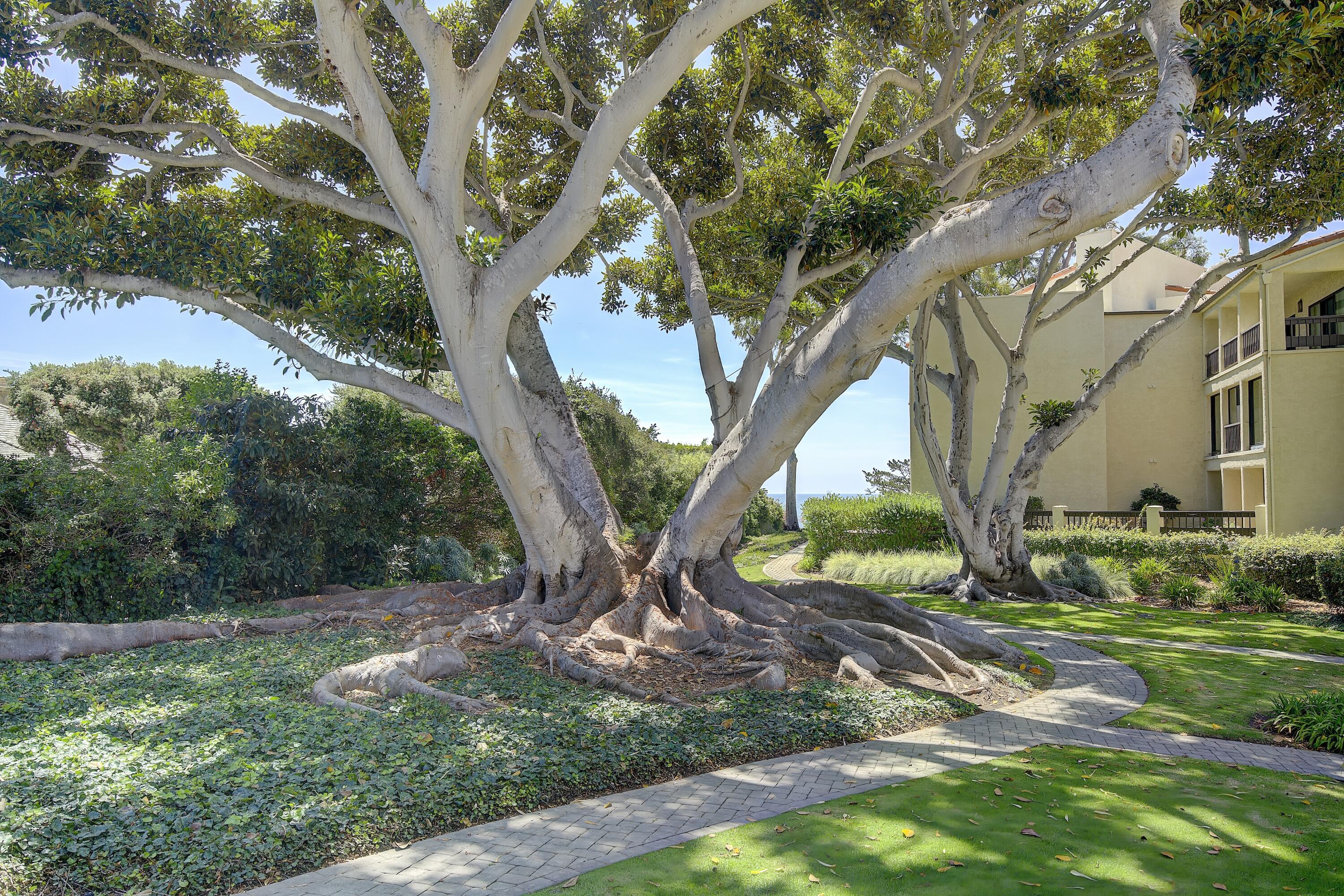 80 Seaview Drive