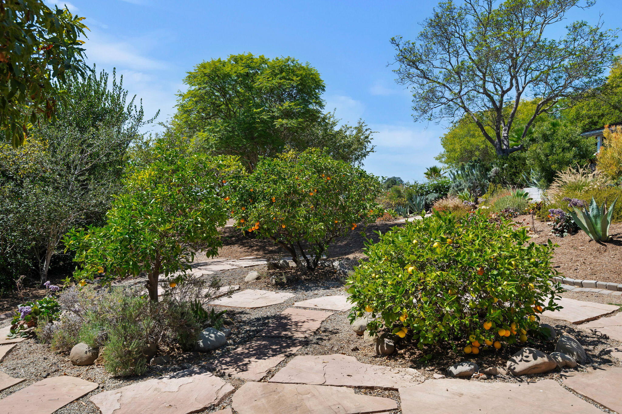 840 San Roque Road
