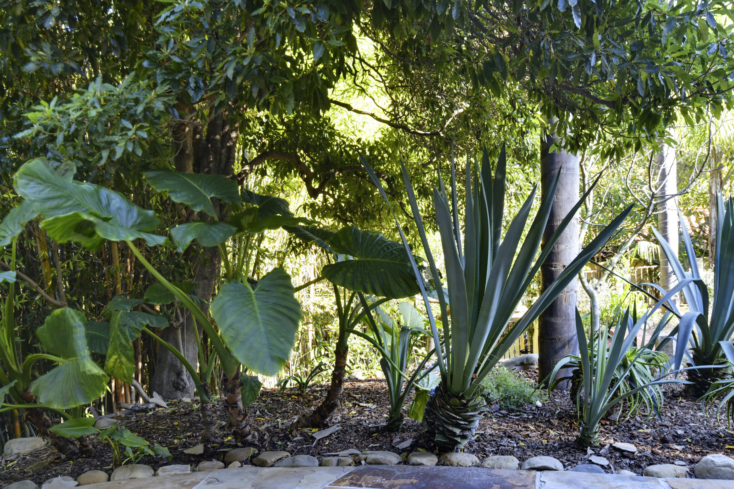 1493 Sycamore Canyon Road