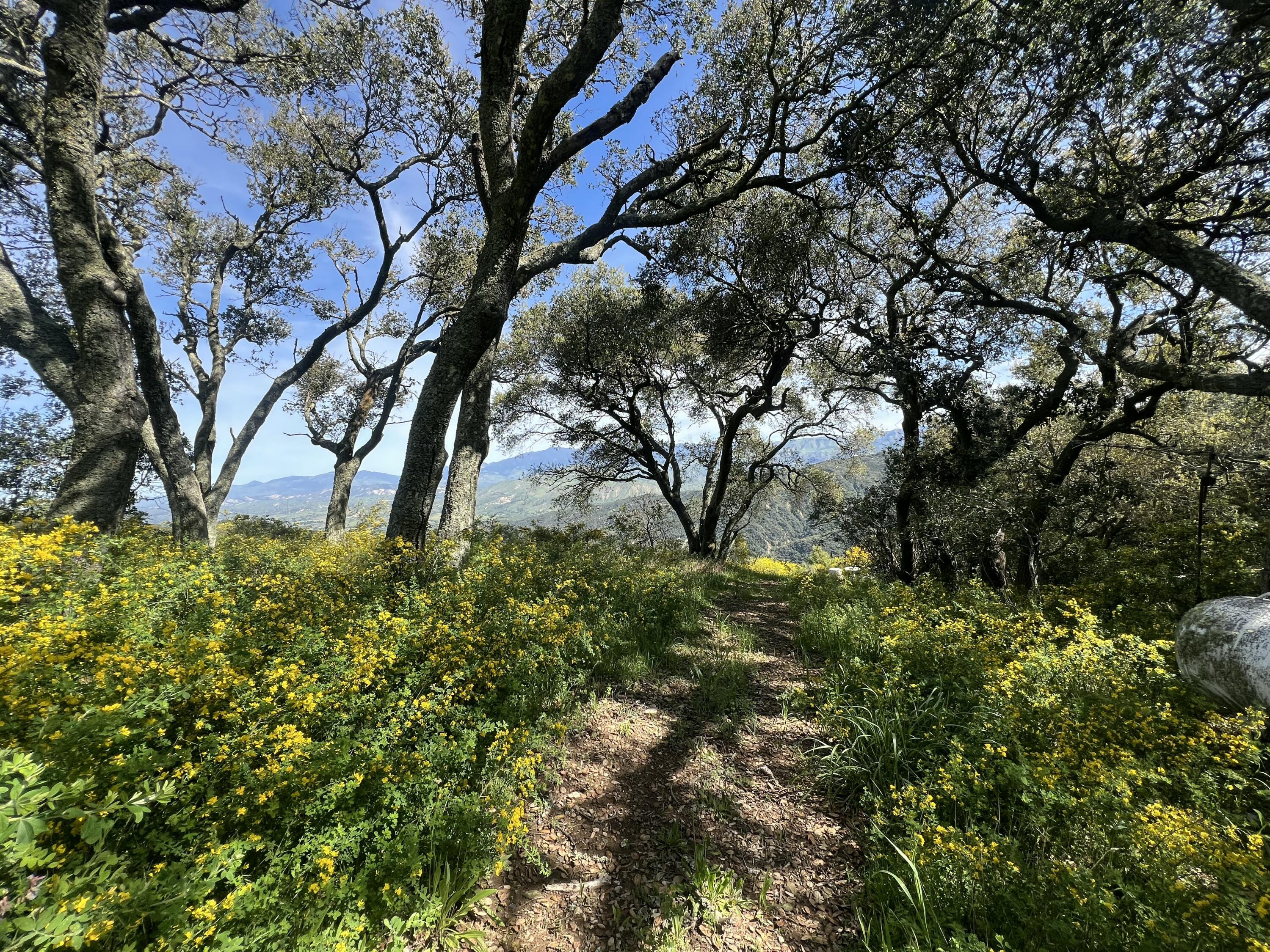 6572 Stagecoach Road