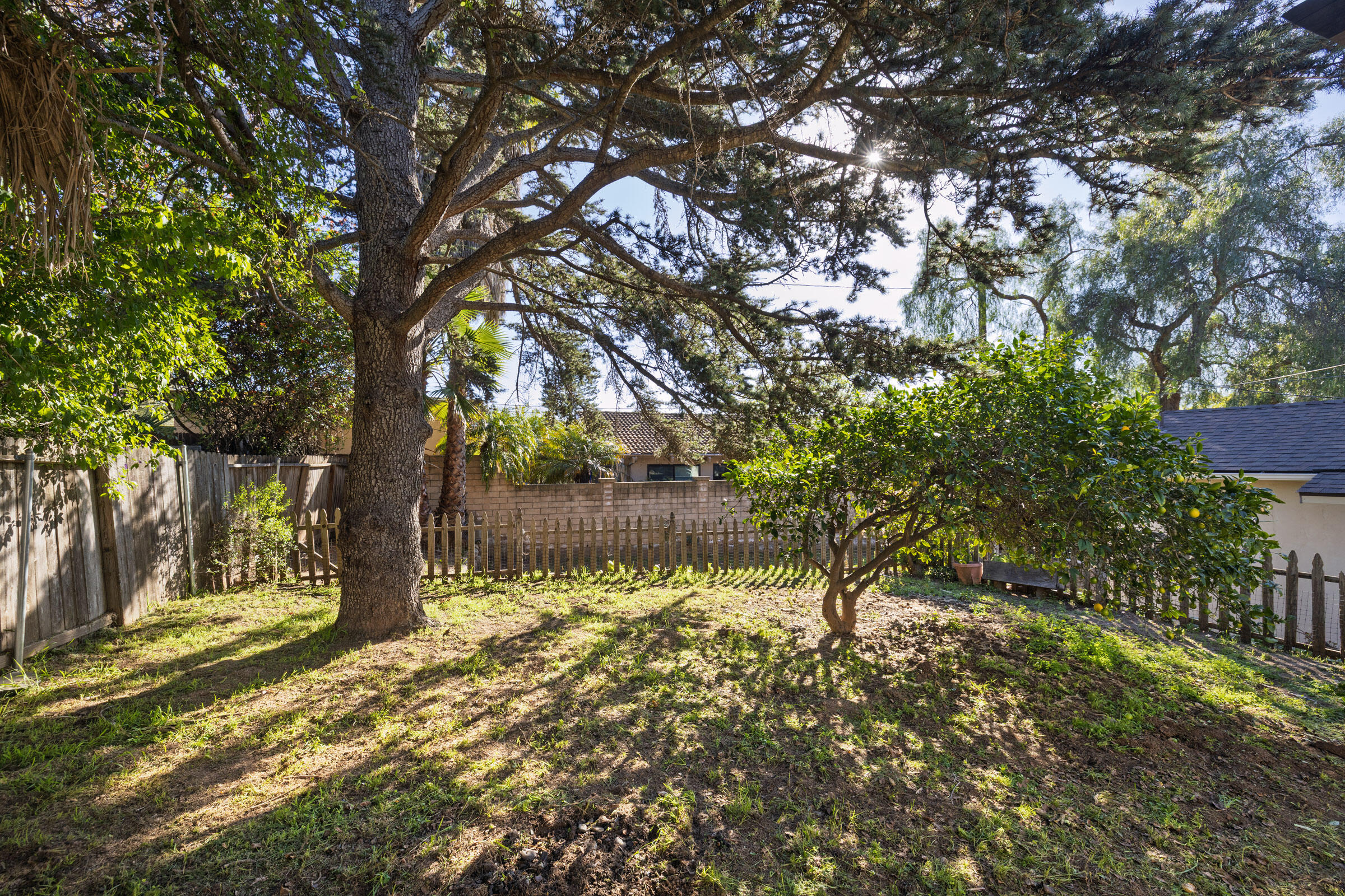 3909 Calle Cita