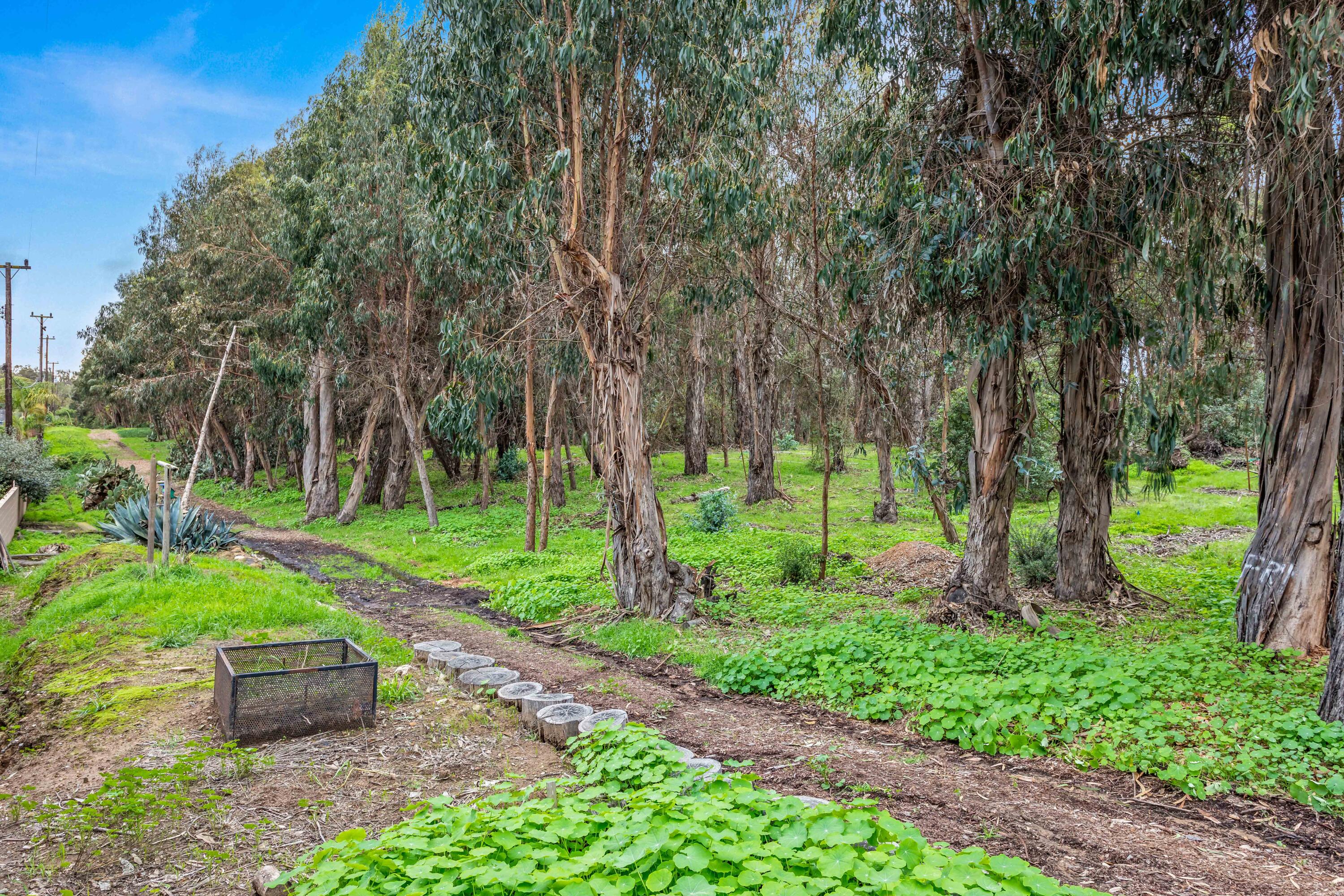 253 Pebble Beach Drive