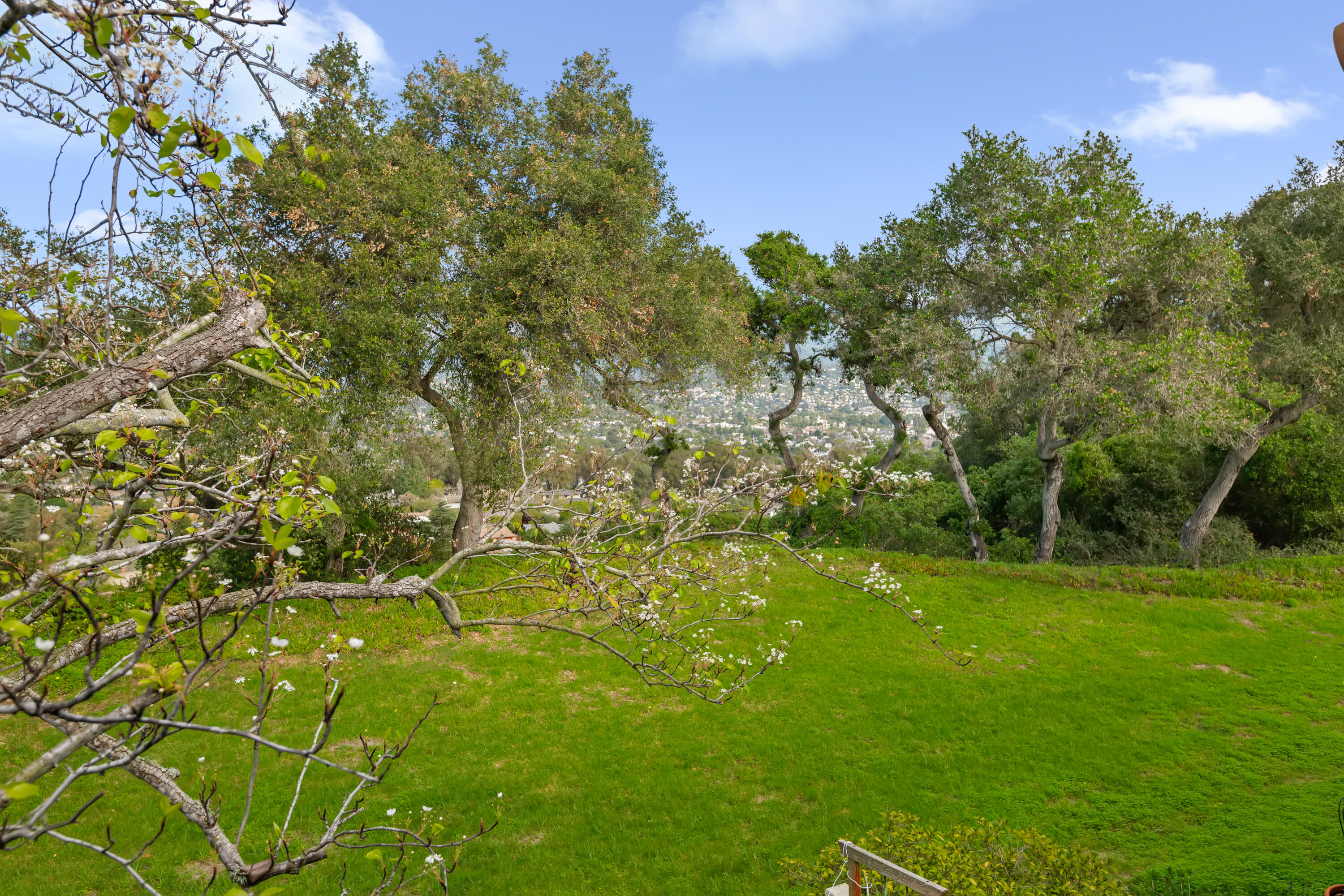 1070 Miramonte Drive 10