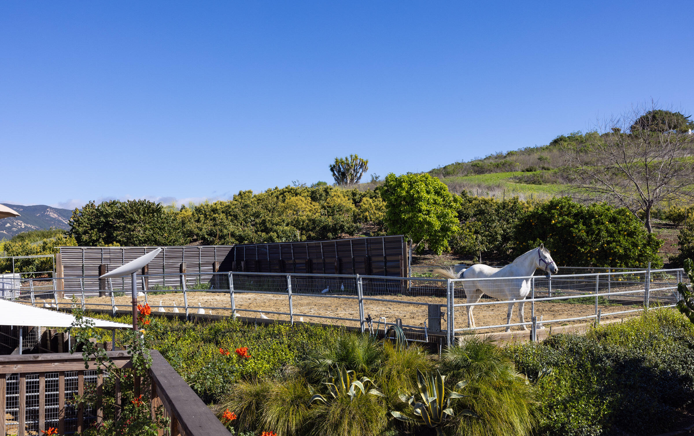 200 Ellwood Ridge Road