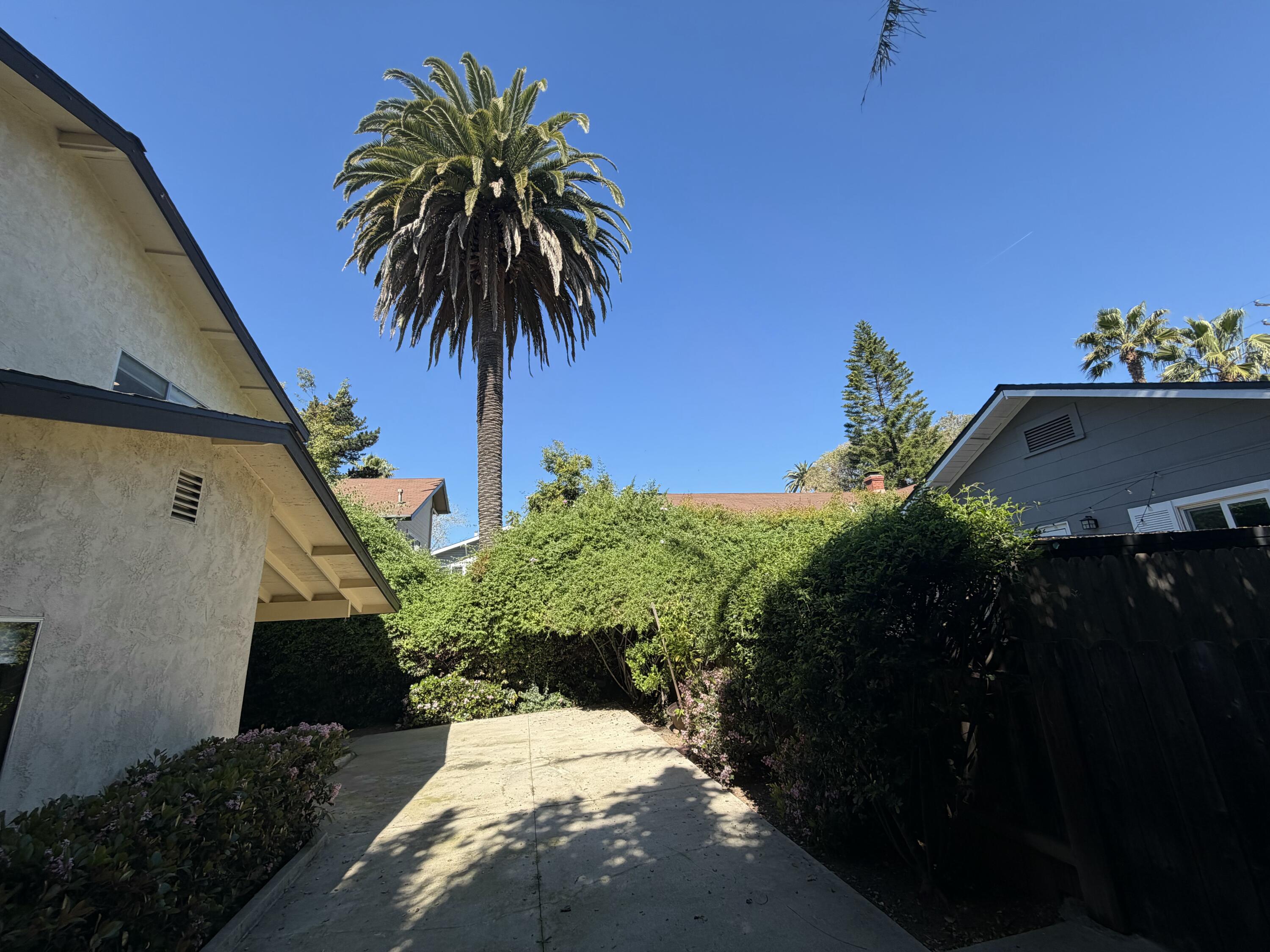 2019 Castillo Street