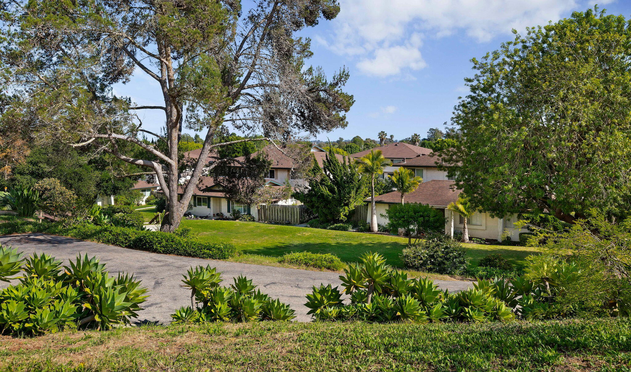 313 Northgate Drive Apt D