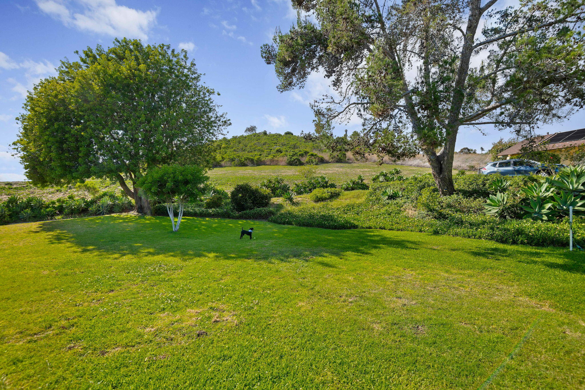 313 Northgate Drive Apt D