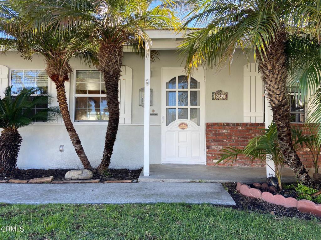 530 Frances Street