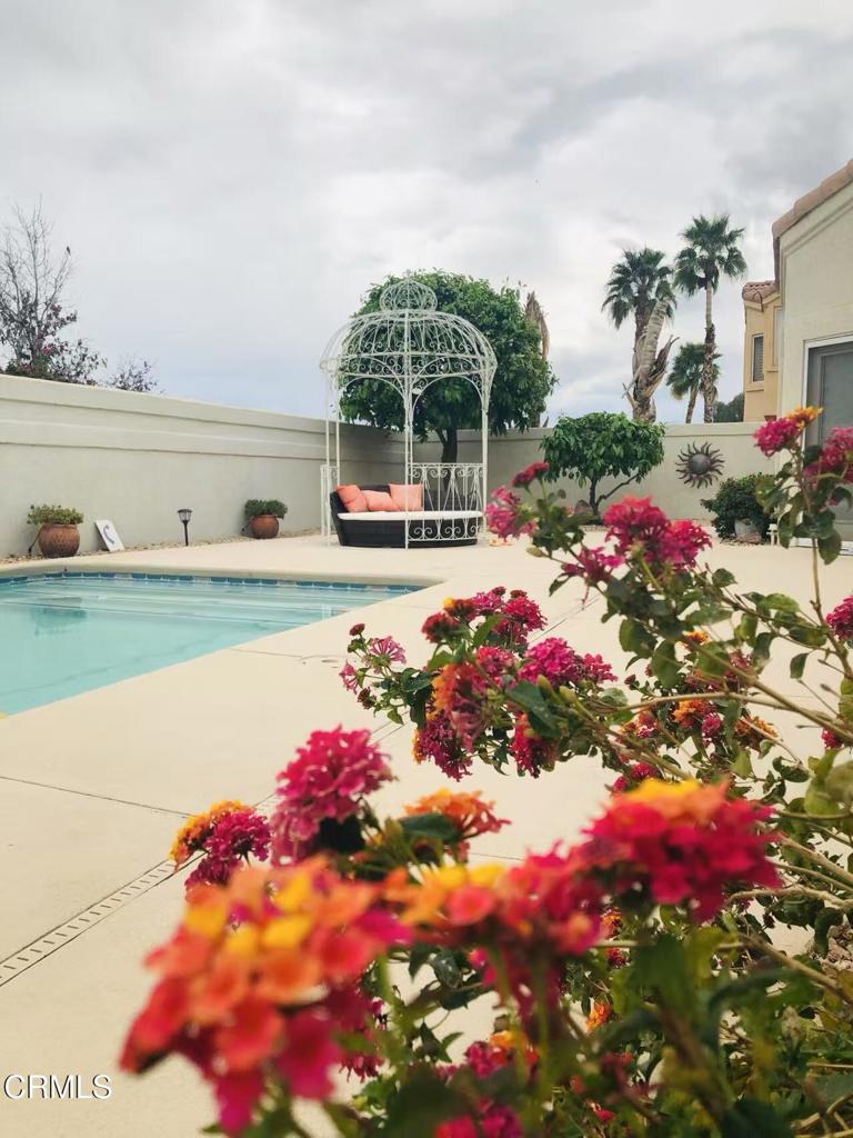 45390 Desert Eagle Court