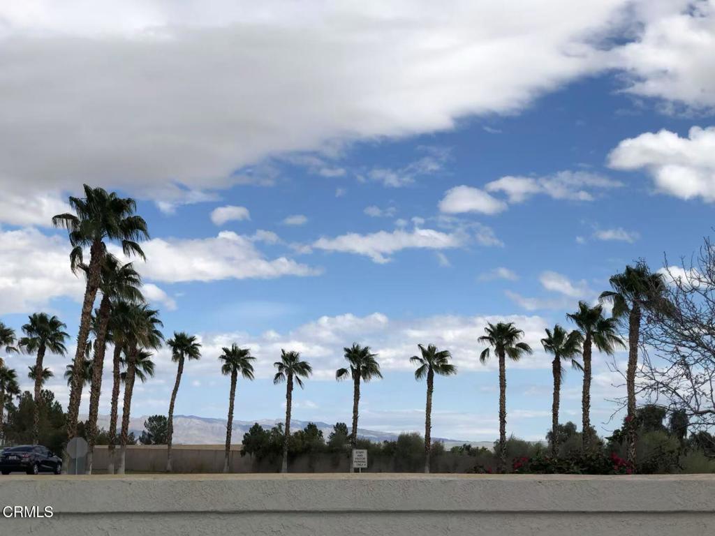 45390 Desert Eagle Court