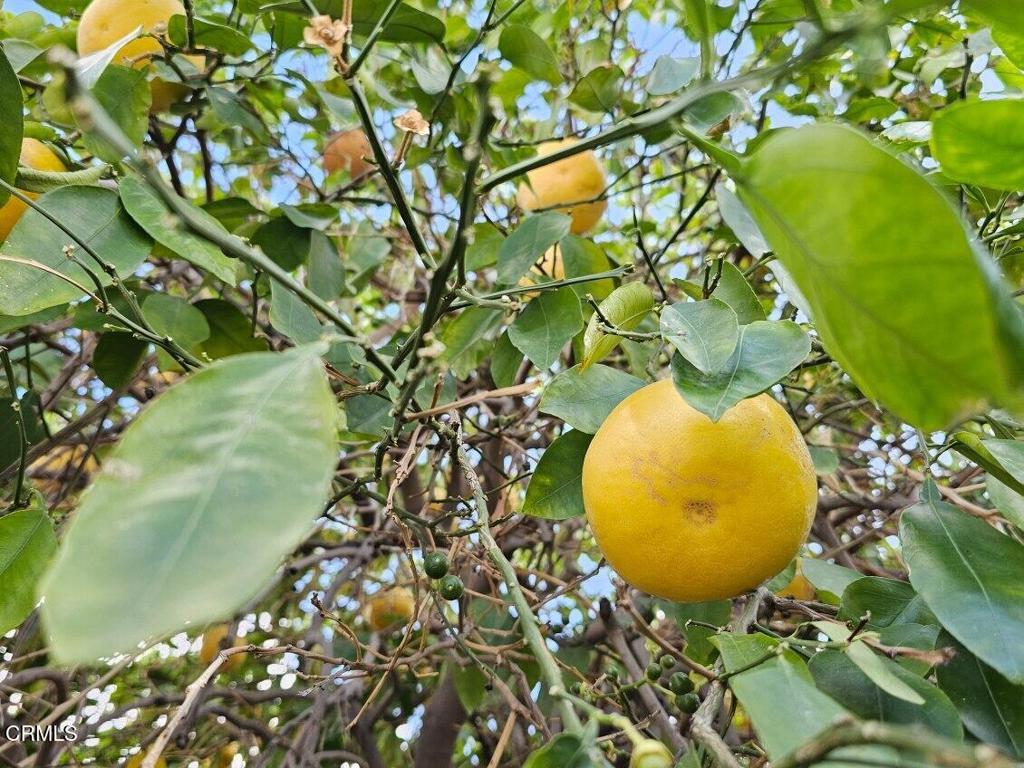 45390 Desert Eagle Court