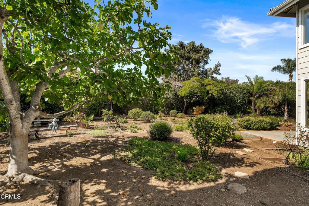 458 Greenleaf Court Court