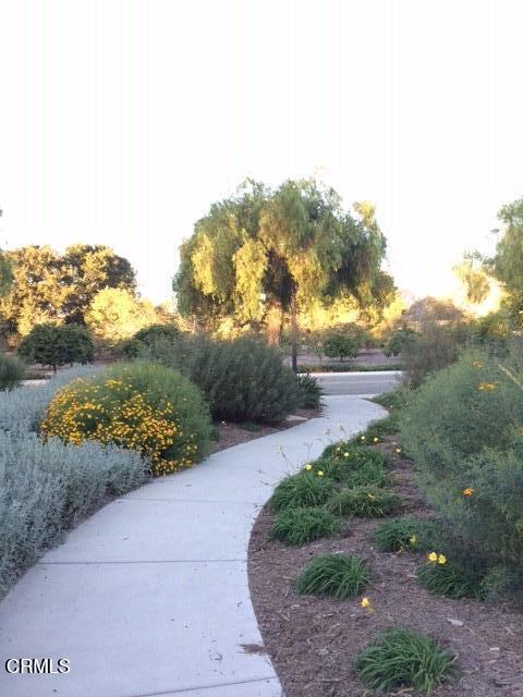 458 Greenleaf Court Court