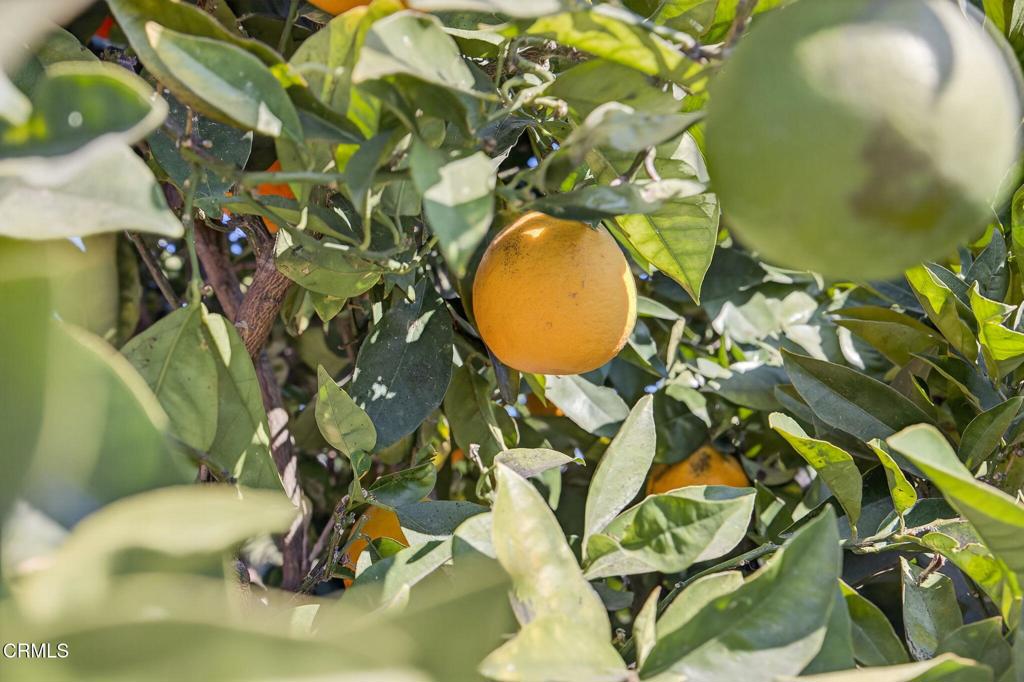 9466 Santa Maria Street