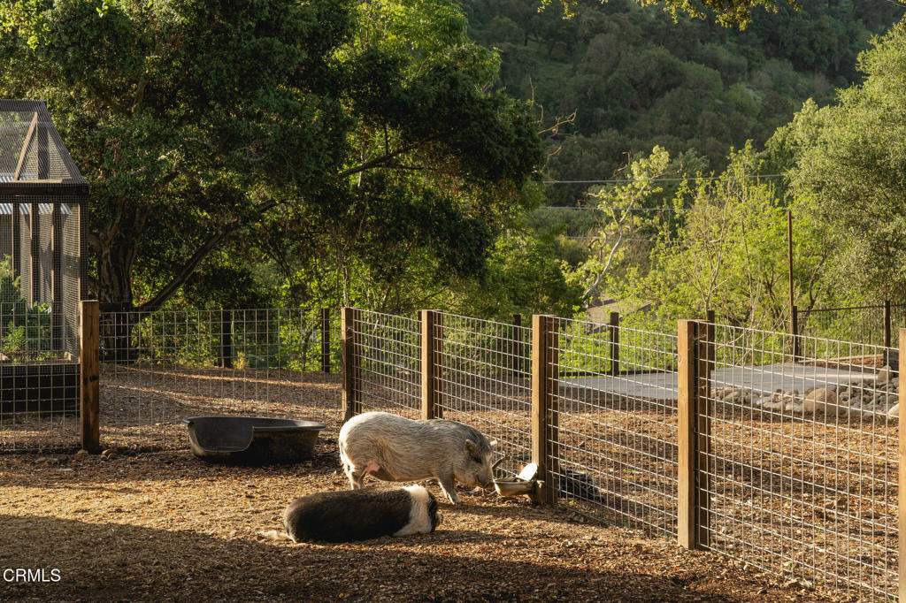 10802 10818 Oak Knoll Road