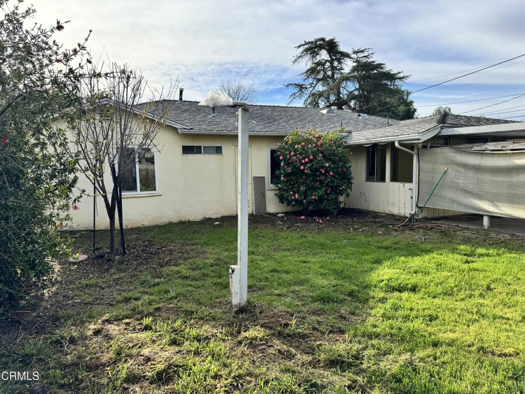 11 Calle Cinco De Mayo