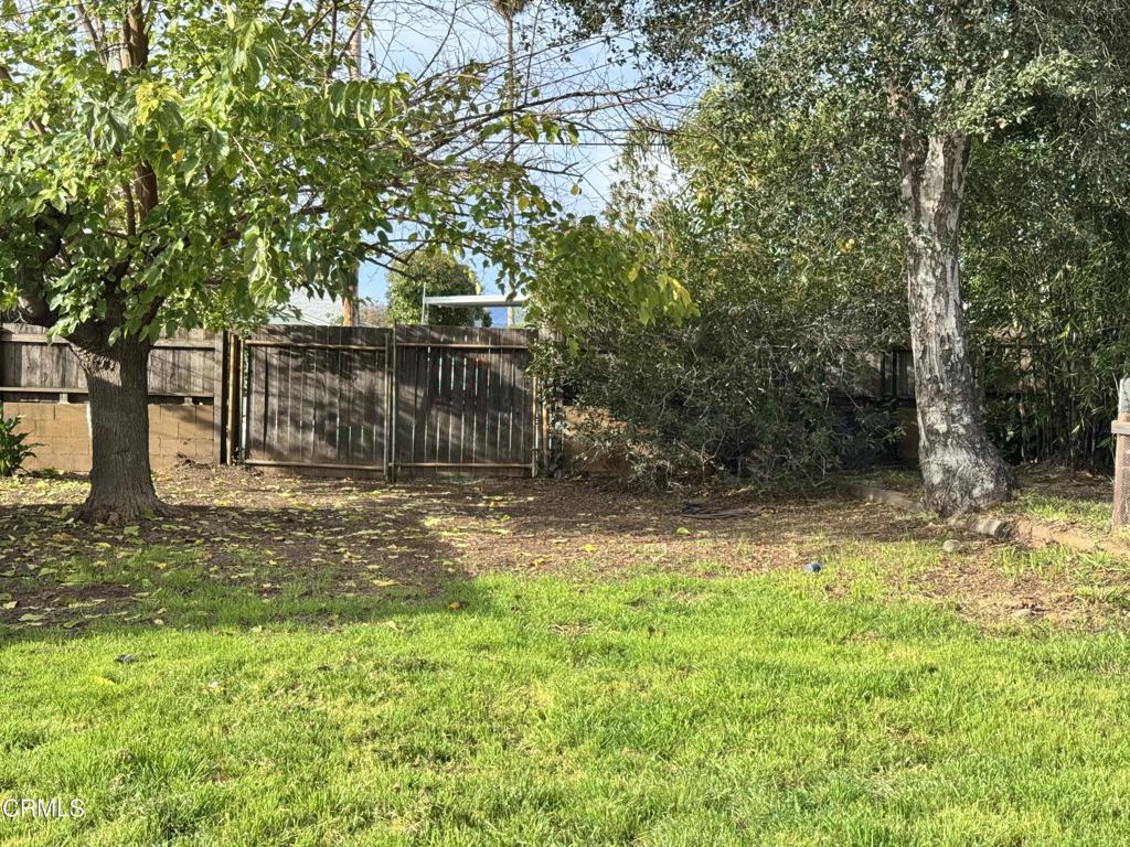 11 Calle Cinco De Mayo