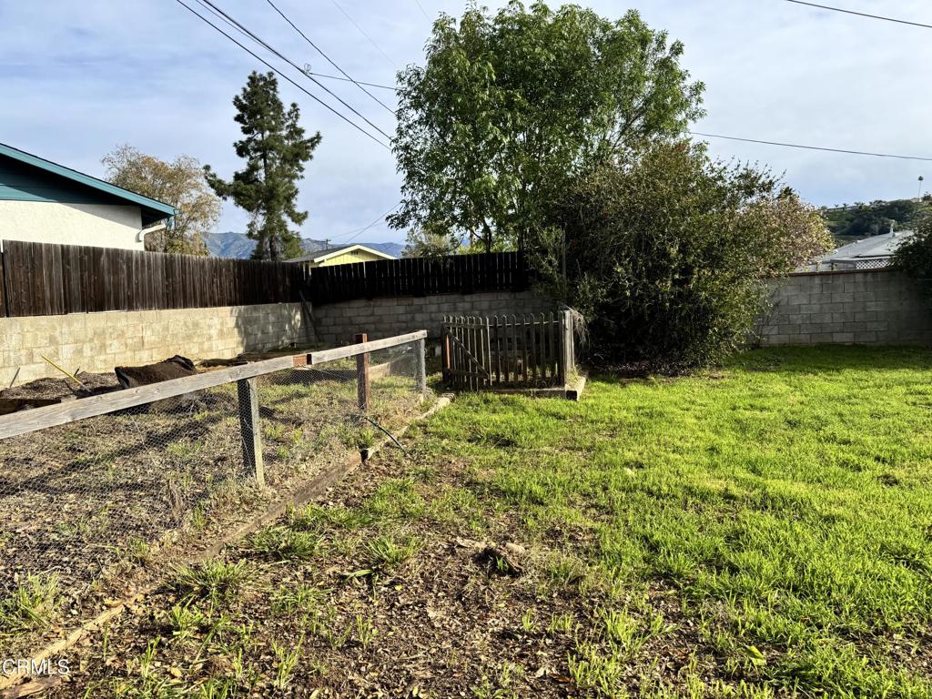 11 Calle Cinco De Mayo