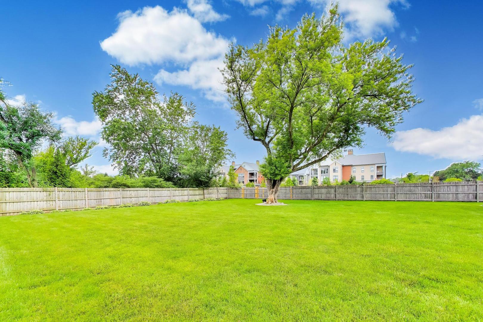 Fenced backyard with a wide green lawn and a large shade tree.