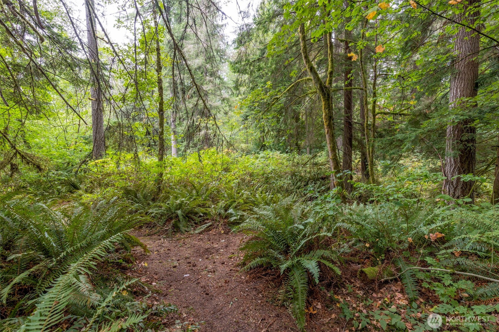 26510 SE 172nd Street