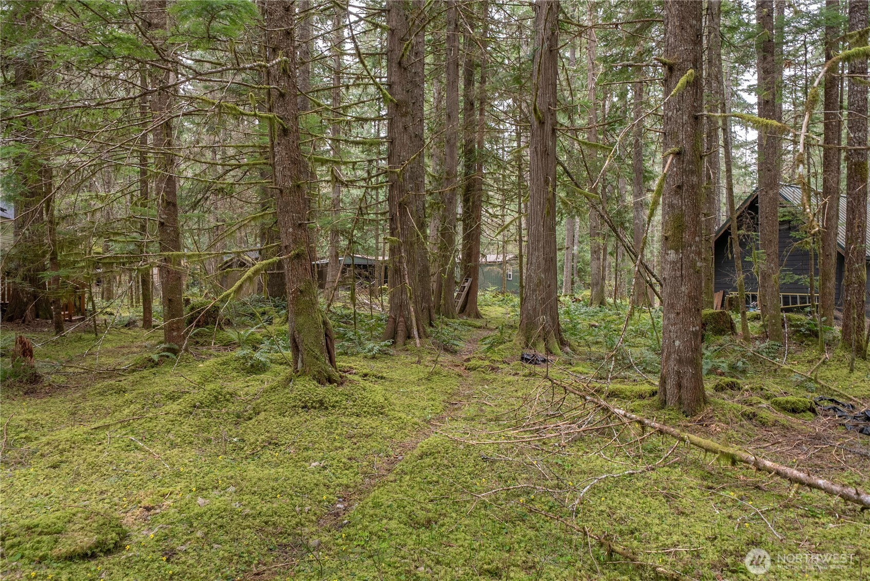 56510 383rd Avenue Ct E