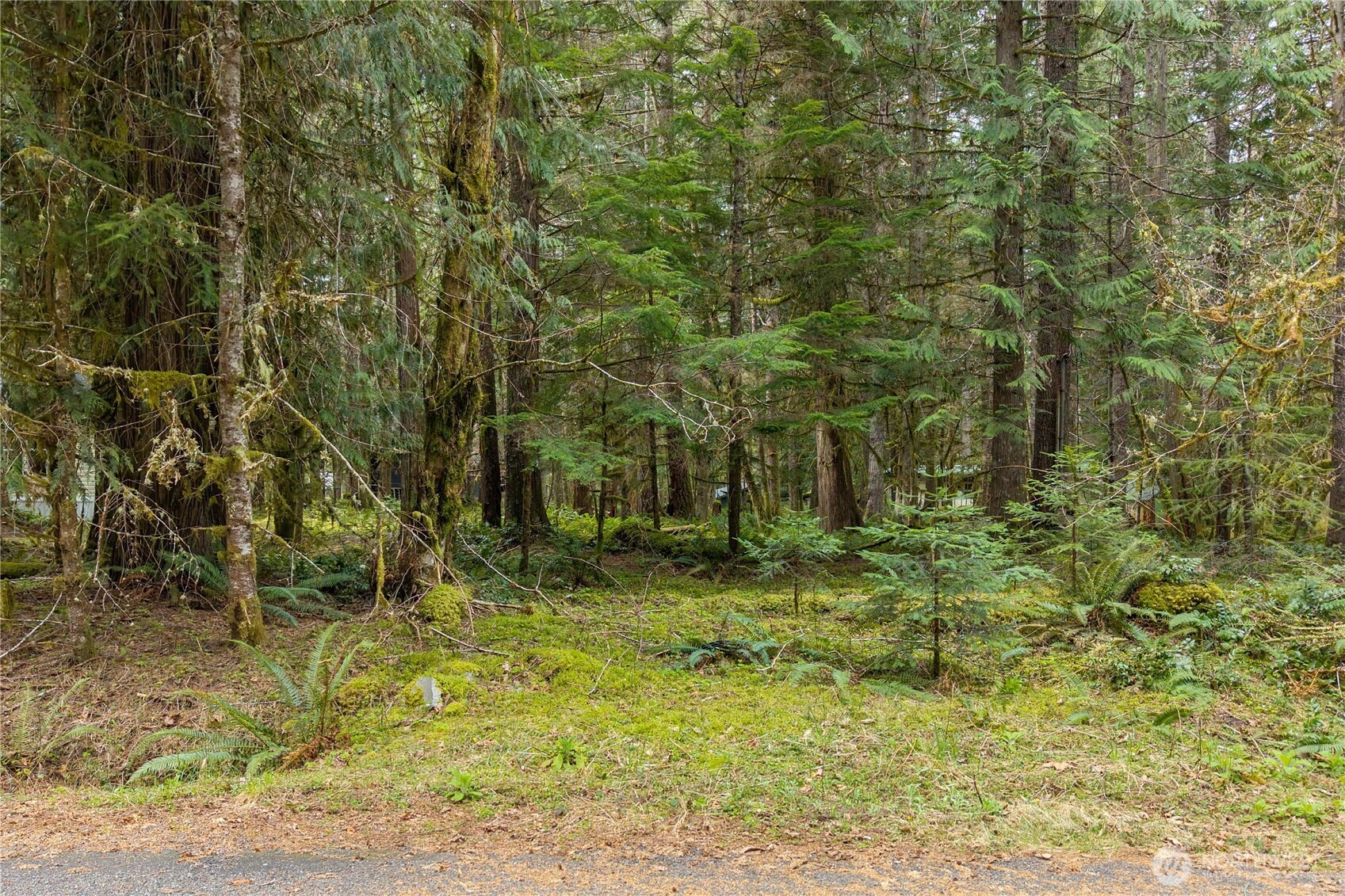 56510 383rd Avenue Ct E