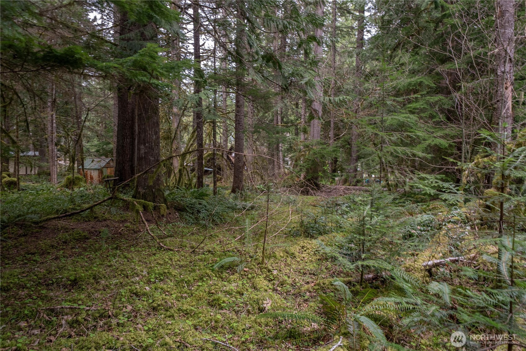 38313 566th Street Ct E