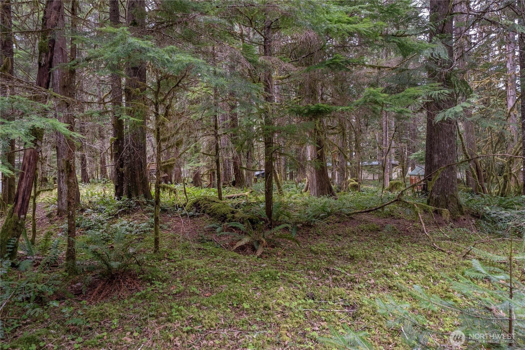 38313 566th Street Ct E