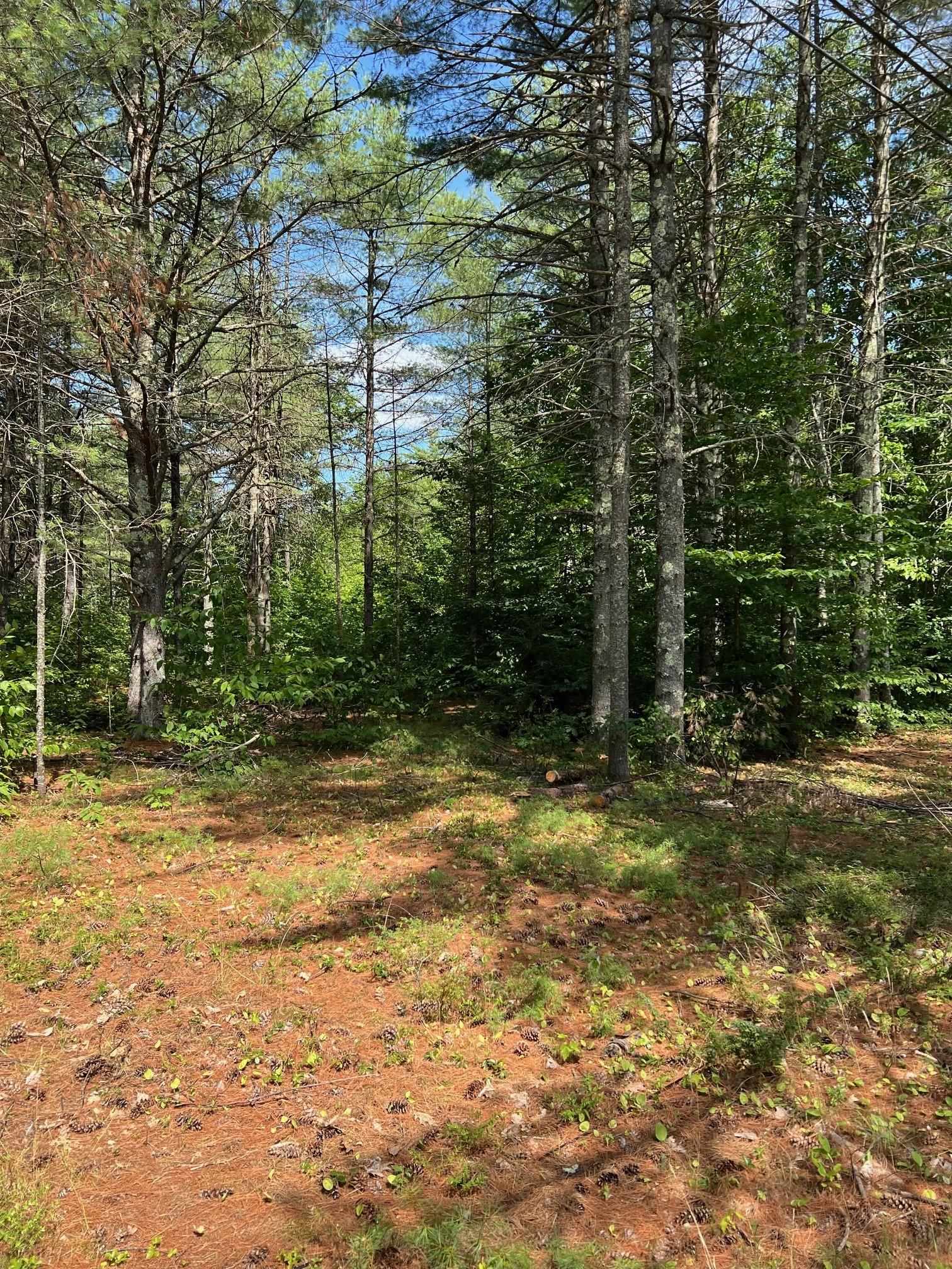 185 Dorrs Corner Road Unit: Lot #4